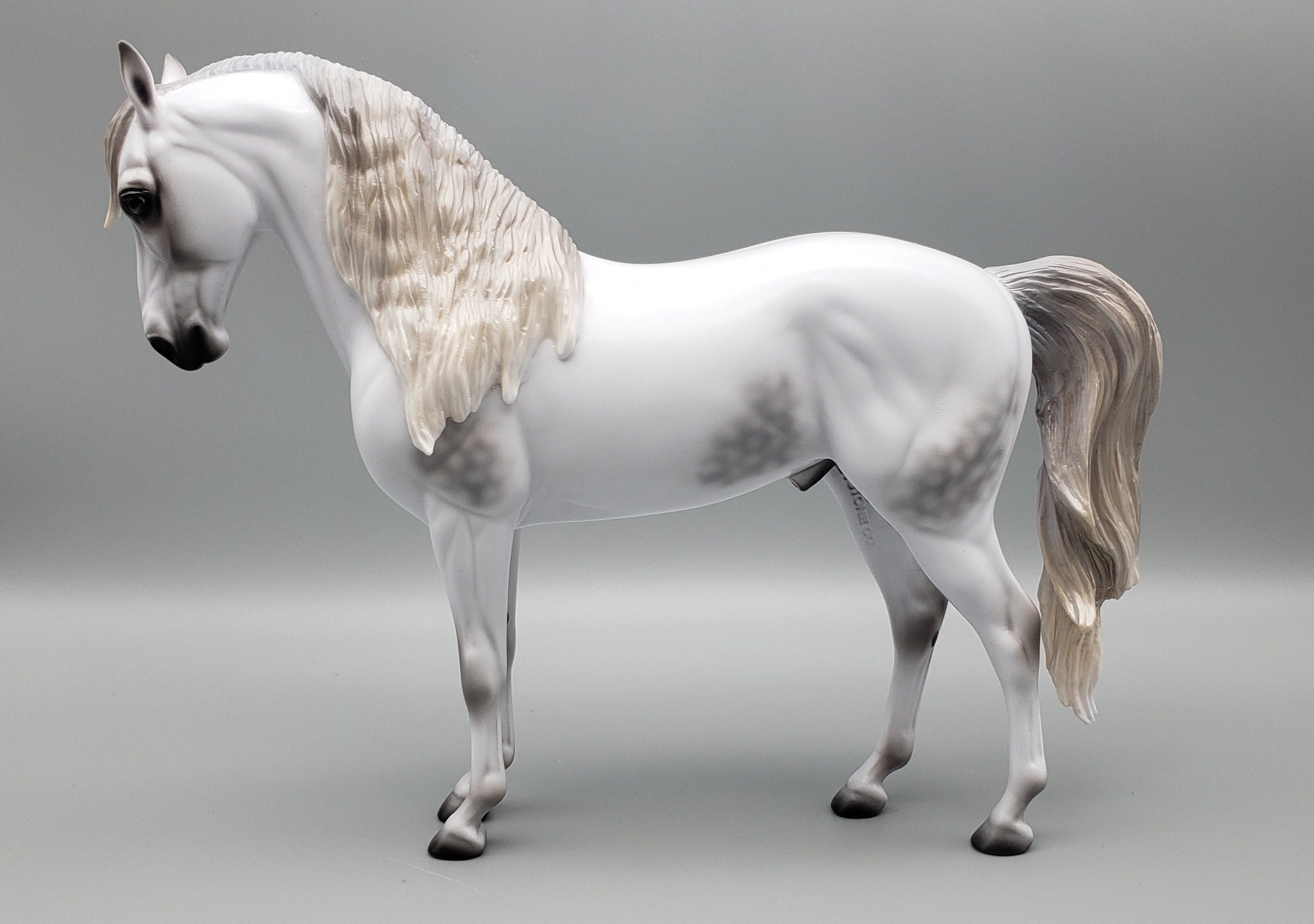 Staring Gaze Of Faith Dappled Grey Andalusian By Ashley Palmer AoTH23