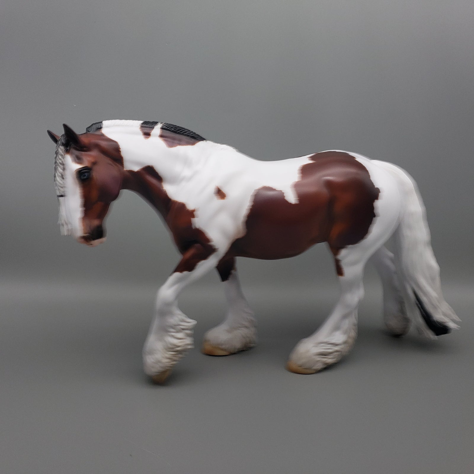 Corneilus OOAK Bay Pinto Cob By Carrie Keller Best Offers 7/15/23 EQ23