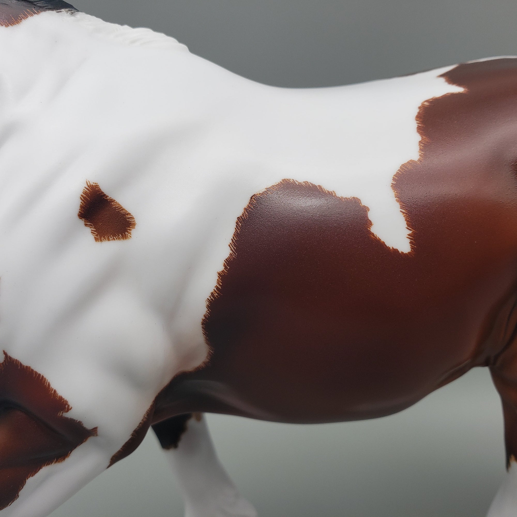 Corneilus OOAK Bay Pinto Cob By Carrie Keller Best Offers 7/15/23 EQ23