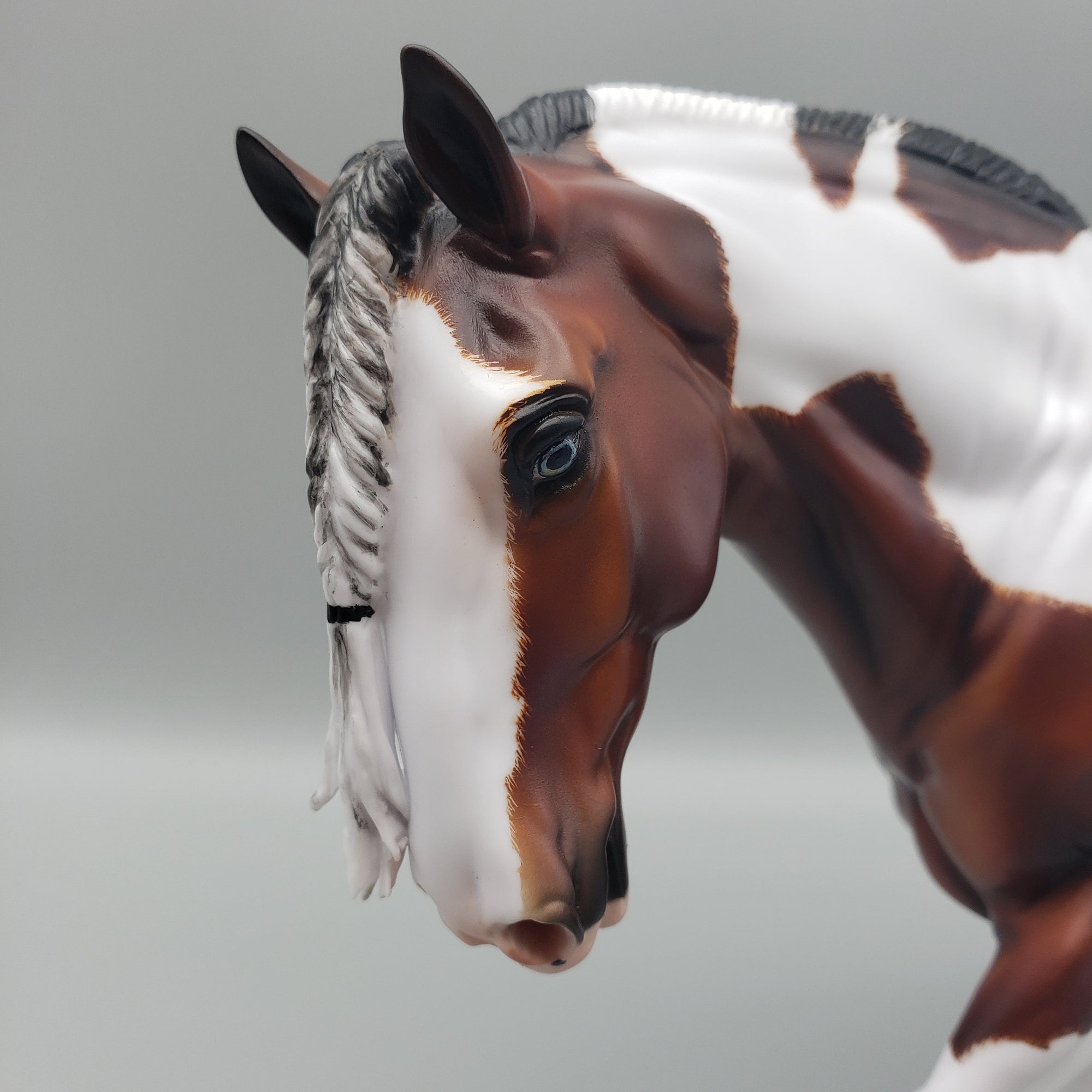 Corneilus OOAK Bay Pinto Cob By Carrie Keller Best Offers 7/15/23 EQ23