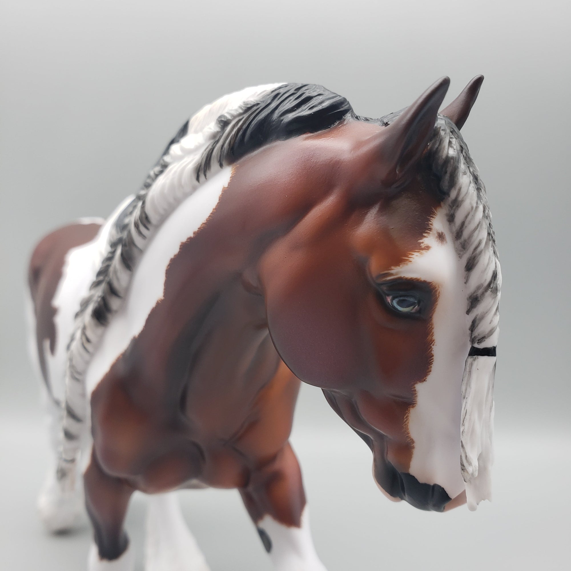 Corneilus OOAK Bay Pinto Cob By Carrie Keller Best Offers 7/15/23 EQ23