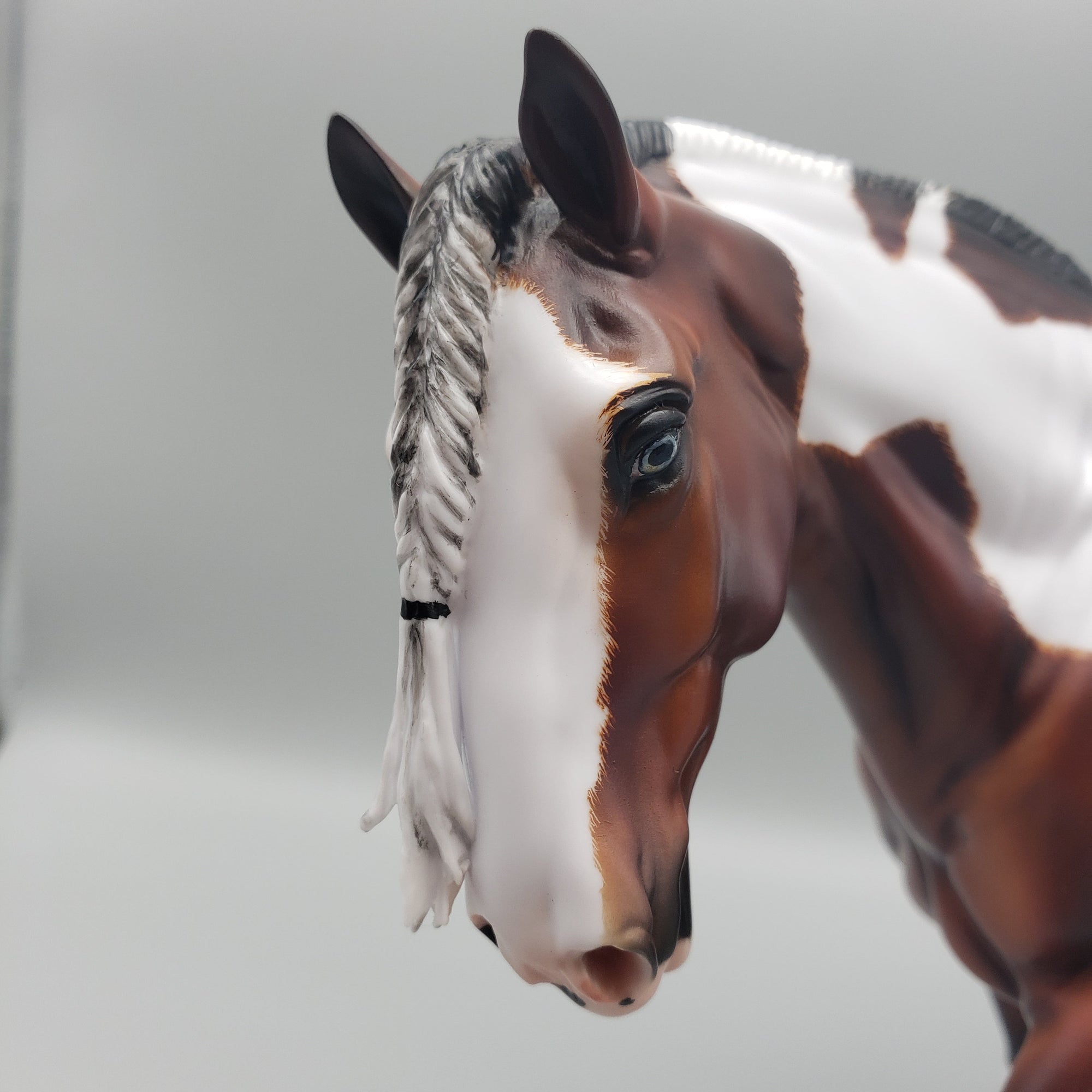 Corneilus OOAK Bay Pinto Cob By Carrie Keller Best Offers 7/15/23 EQ23