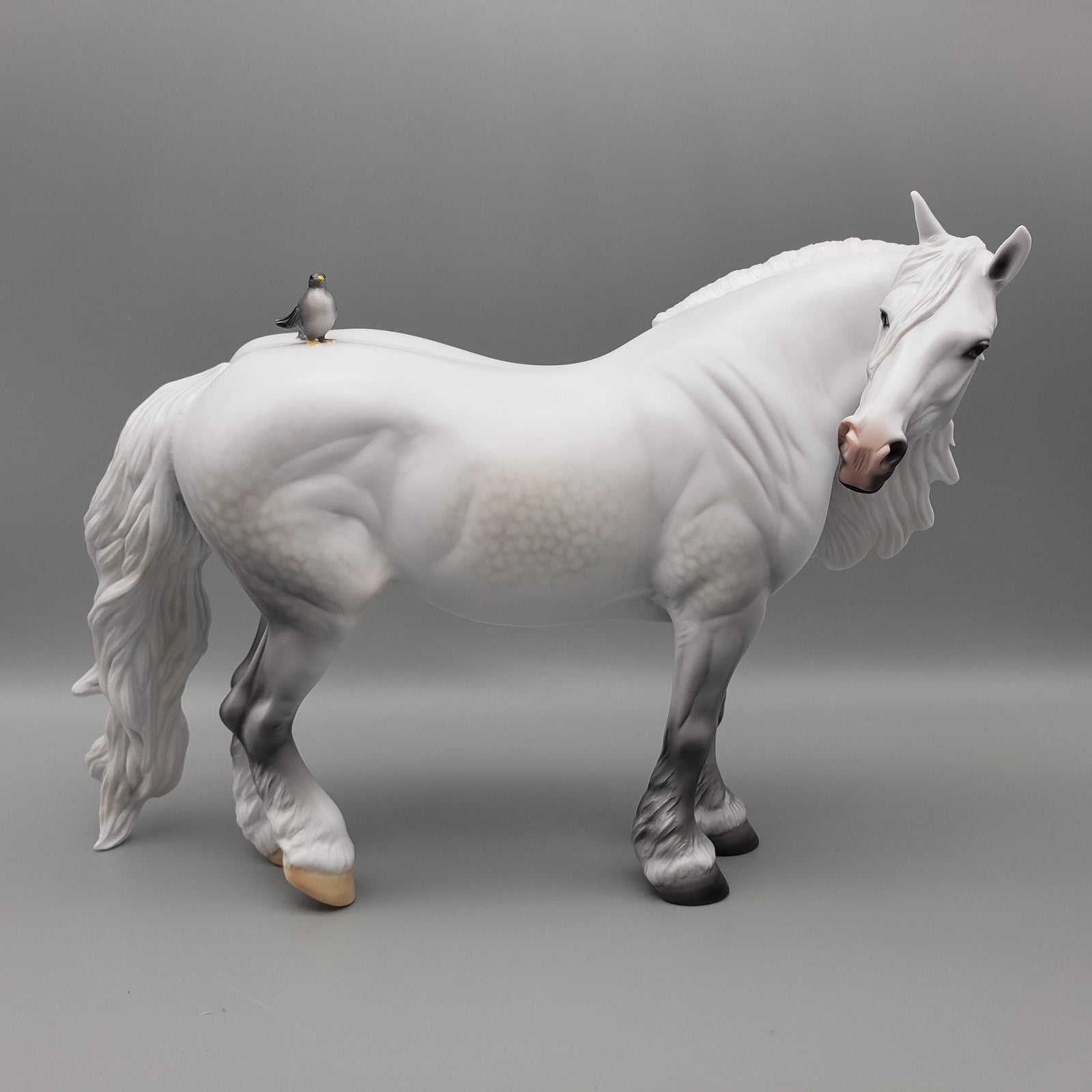 Dove OOAK Dapple Grey Heavy Draft By Carrie Keller Equilocity Best Offers 7/15/23 EQ23