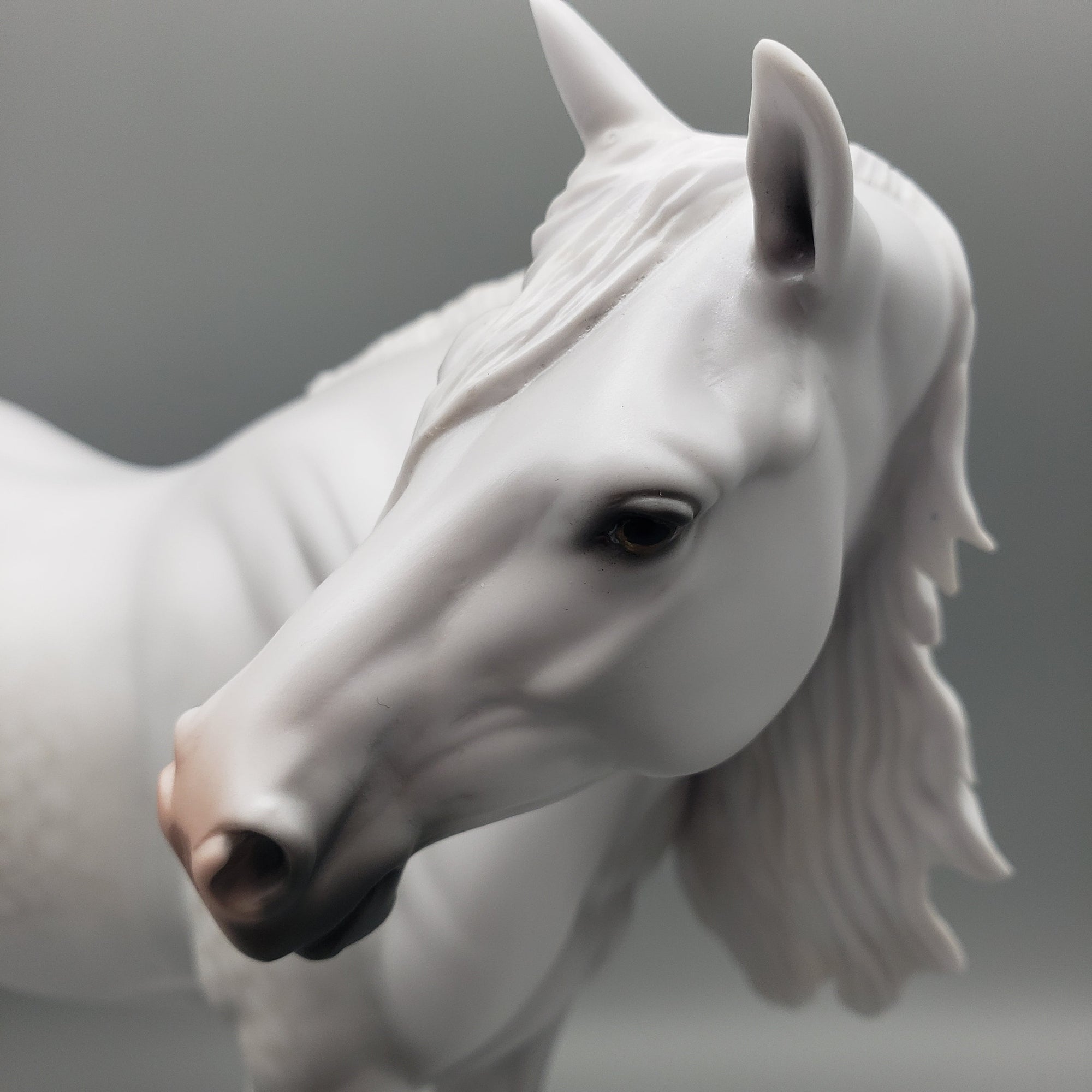 Dove OOAK Dapple Grey Heavy Draft By Carrie Keller Equilocity Best Offers 7/15/23 EQ23