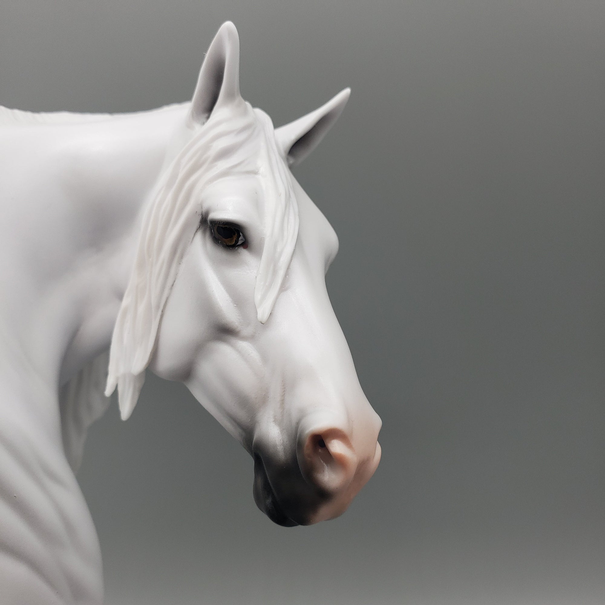 Dove OOAK Dapple Grey Heavy Draft By Carrie Keller Equilocity Best Offers 7/15/23 EQ23