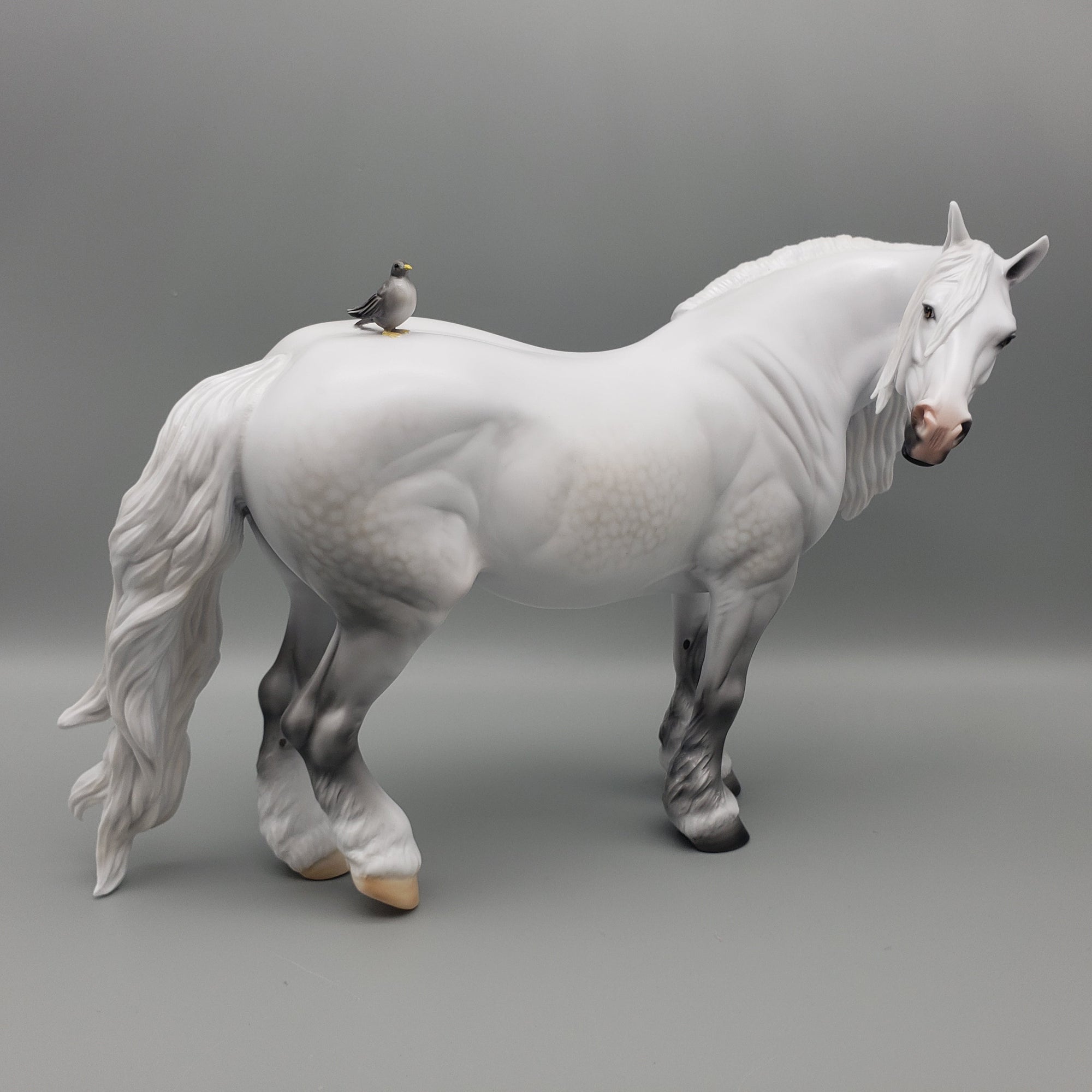 Dove OOAK Dapple Grey Heavy Draft By Carrie Keller Equilocity Best Offers 7/15/23 EQ23