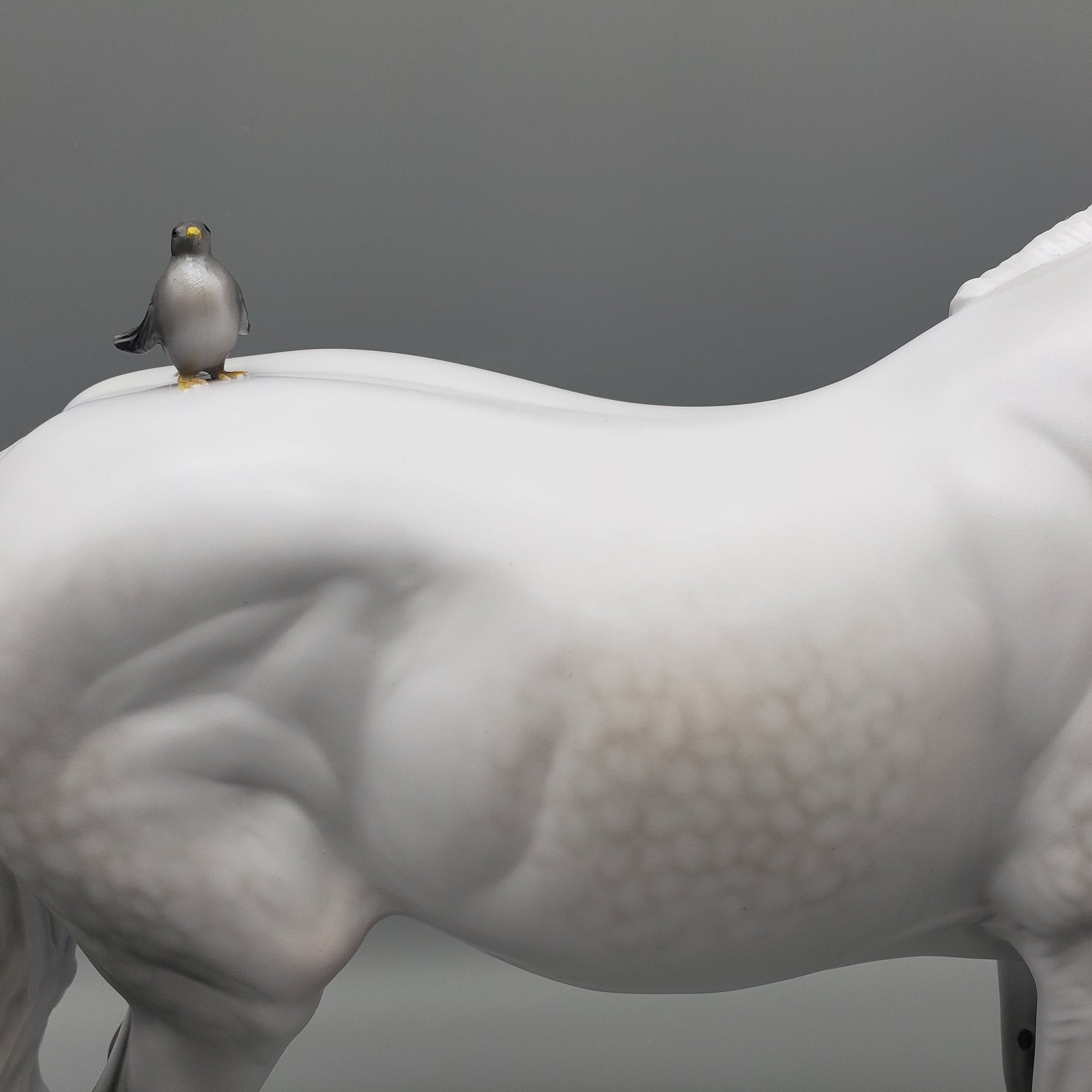 Dove OOAK Dapple Grey Heavy Draft By Carrie Keller Equilocity Best Offers 7/15/23 EQ23