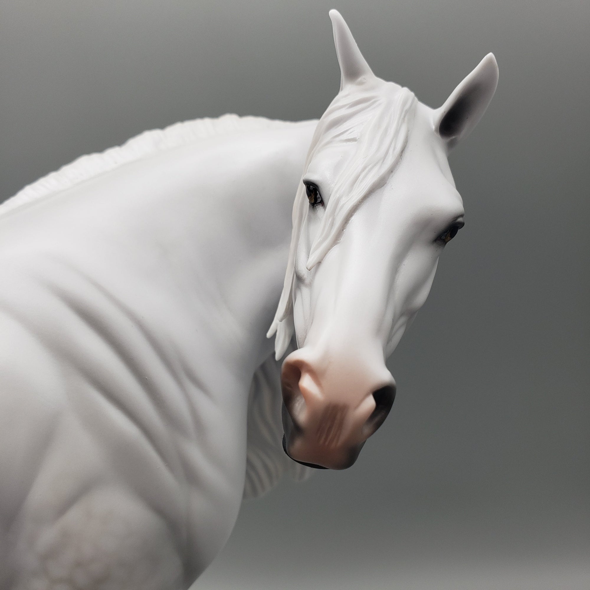 Dove OOAK Dapple Grey Heavy Draft By Carrie Keller Equilocity Best Offers 7/15/23 EQ23