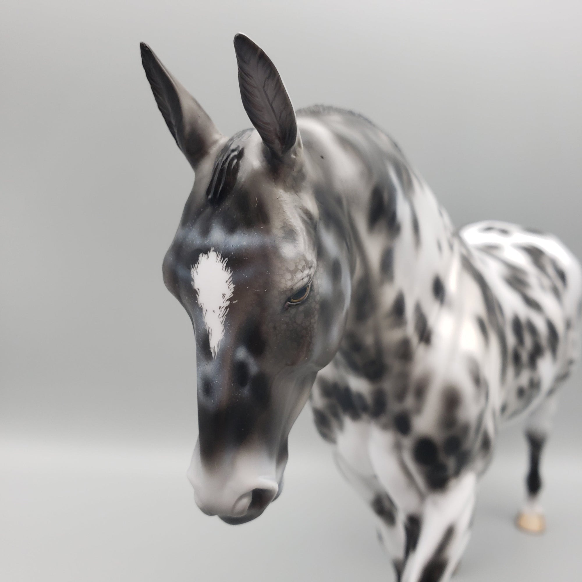 Amadeo OOAK Leopard Appaloosa Irish Draft by Dawn Quick Best Offers 7/24/23