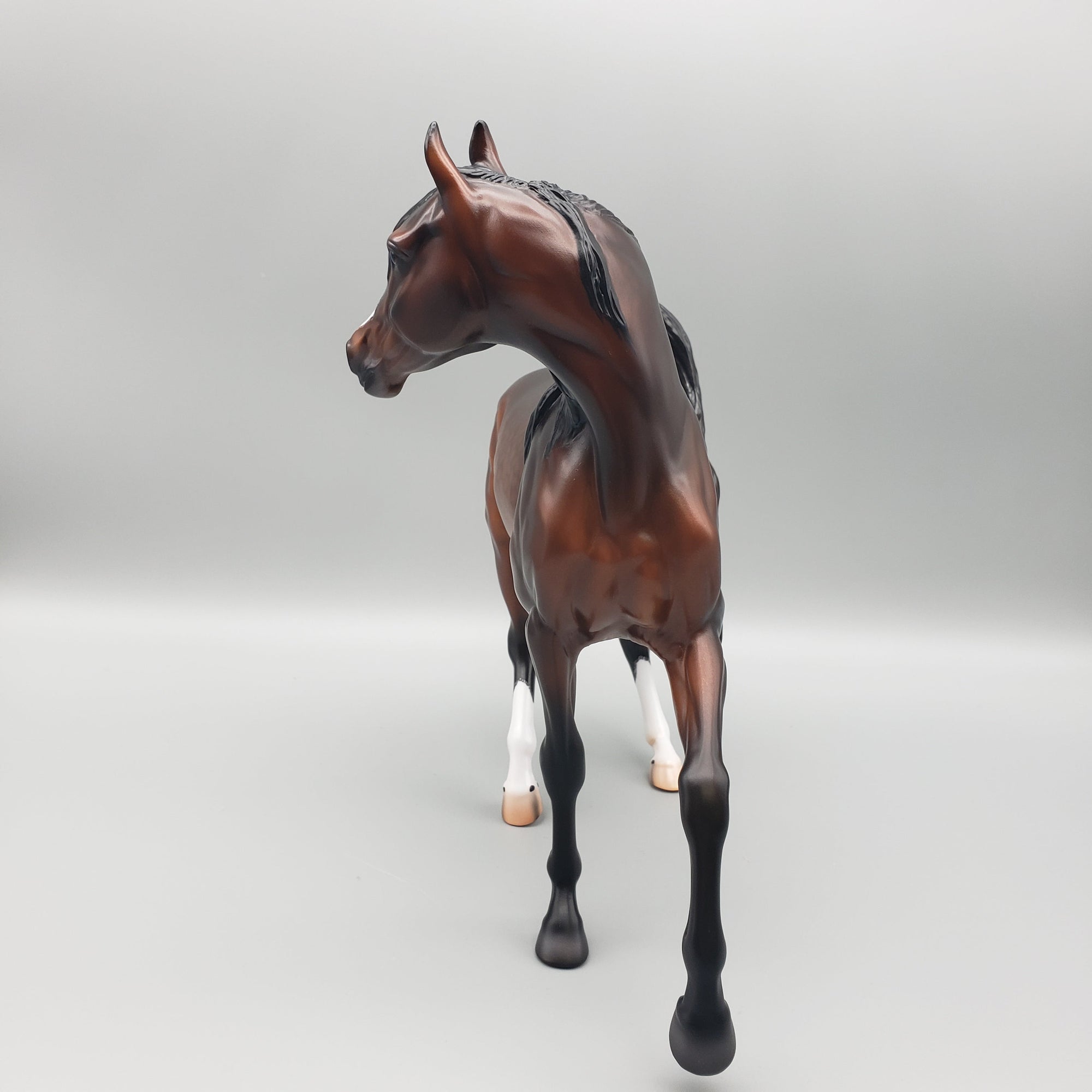 Sonita - Dappled Bay Arabian Mare with Turned Head By Caroline Boydston Best Offers 7/24/23