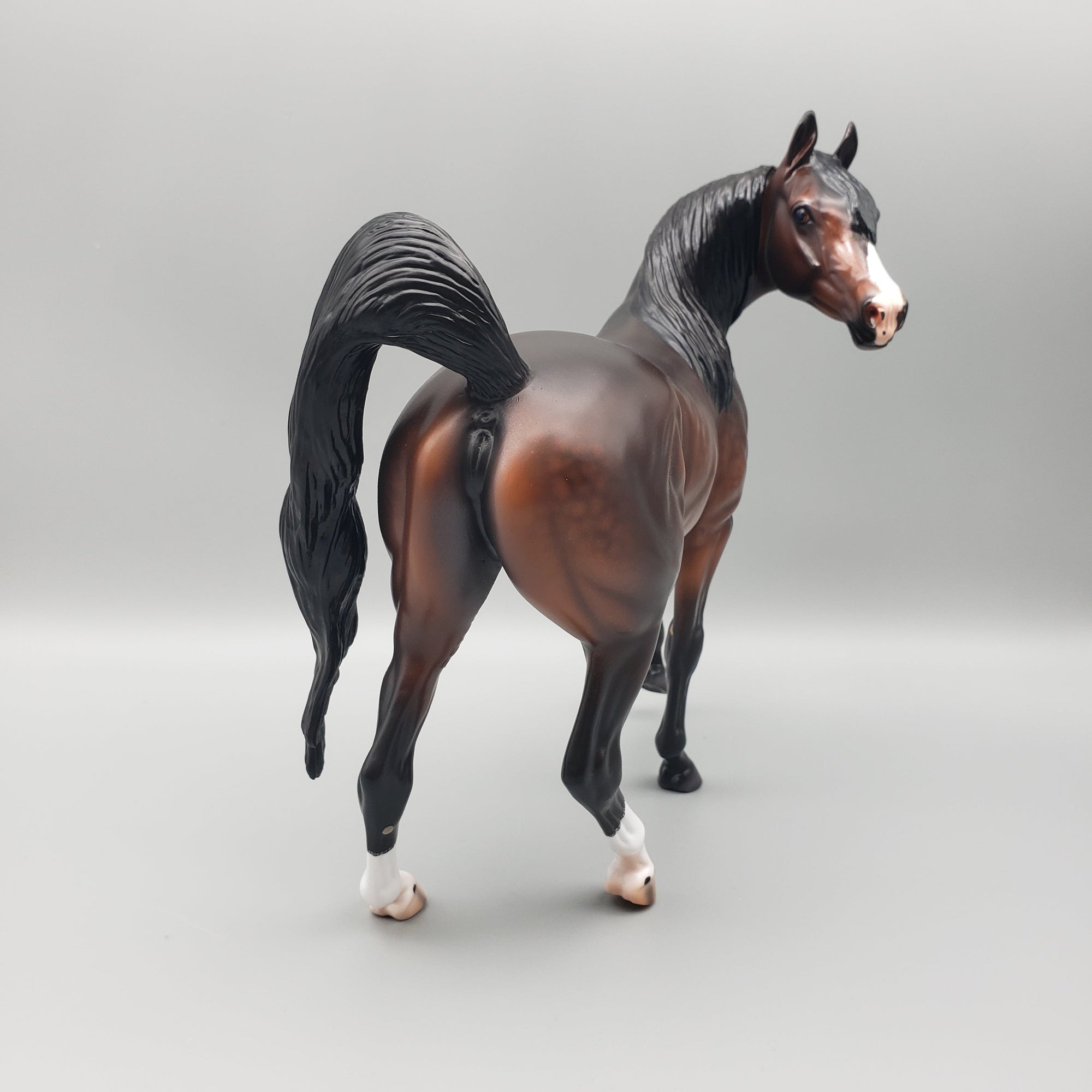 Sonita - Dappled Bay Arabian Mare with Turned Head By Caroline Boydston Best Offers 7/24/23