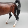 Sonita - Dappled Bay Arabian Mare with Turned Head By Caroline Boydston Best Offers 7/24/23