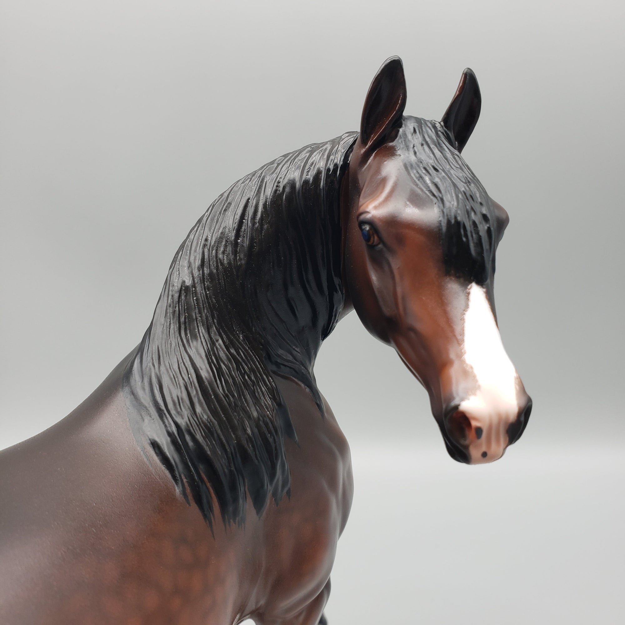 Sonita - Dappled Bay Arabian Mare with Turned Head By Caroline Boydston Best Offers 7/24/23