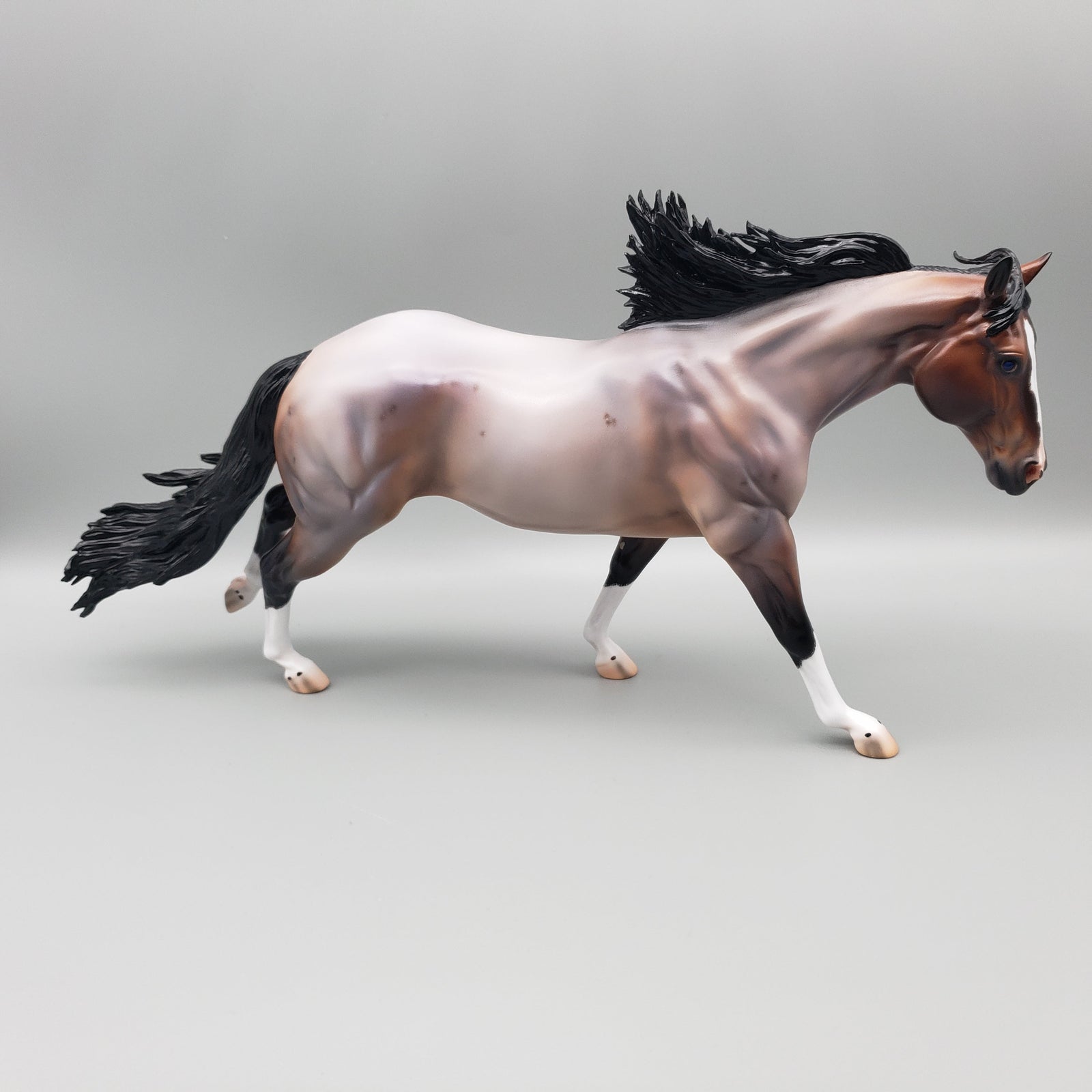 Cardon OOAK Bay Roan Running Stock Horse with Corn Spots By Caroline Boydston Best Offers 7/24/23