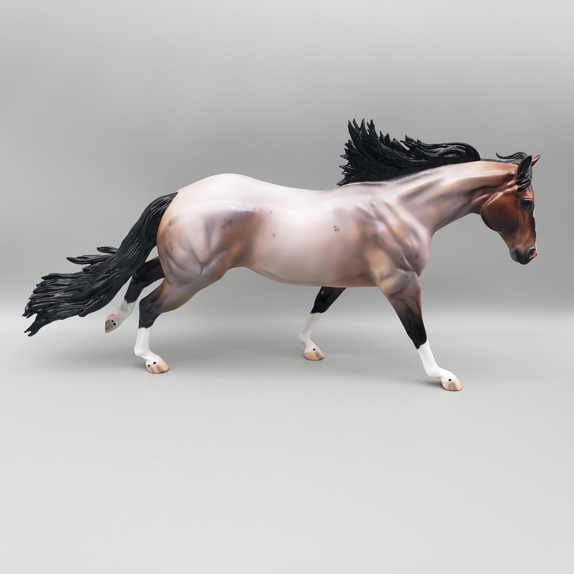 Cardon OOAK Bay Roan Running Stock Horse with Corn Spots By Caroline Boydston Best Offers 7/24/23