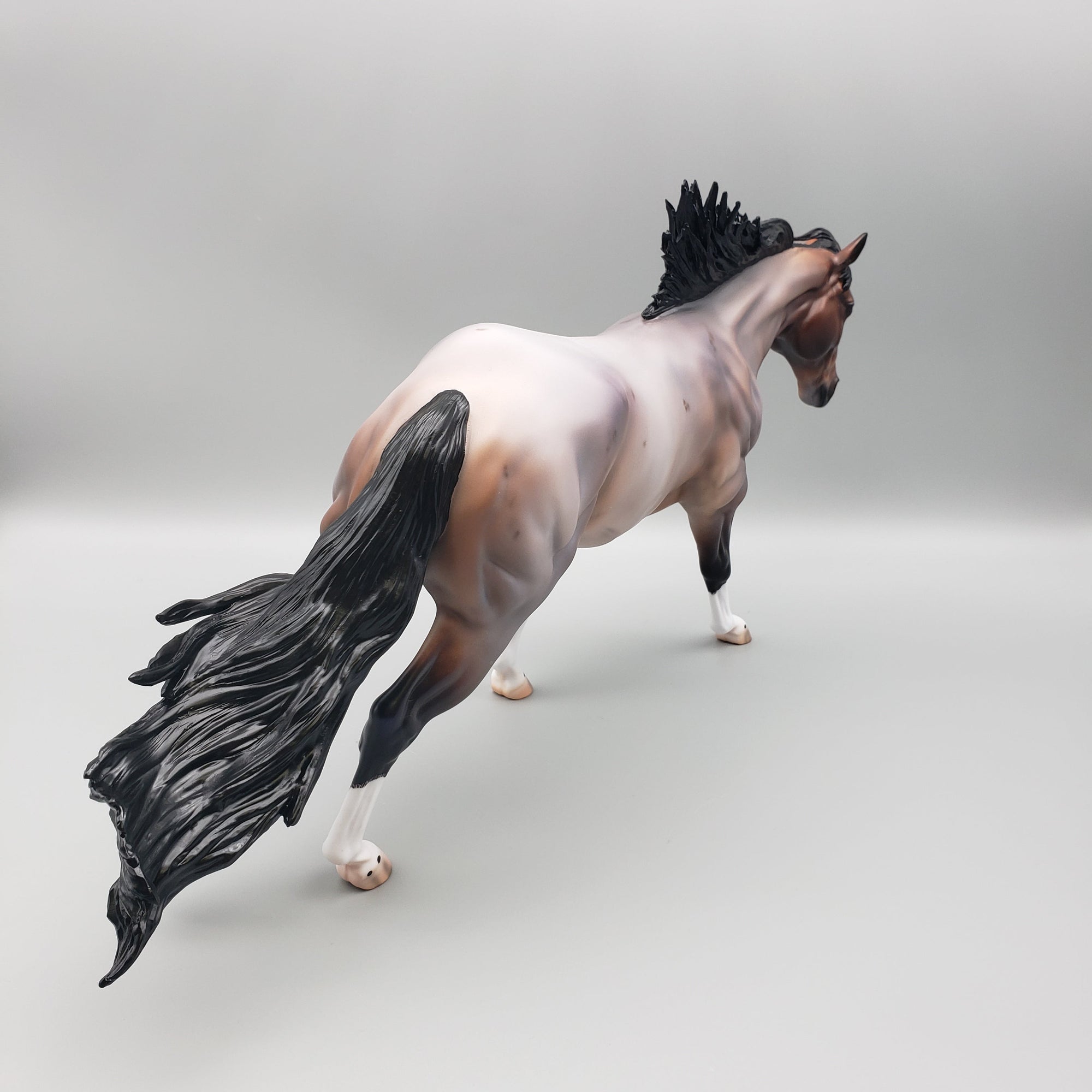 Cardon OOAK Bay Roan Running Stock Horse with Corn Spots By Caroline Boydston Best Offers 7/24/23