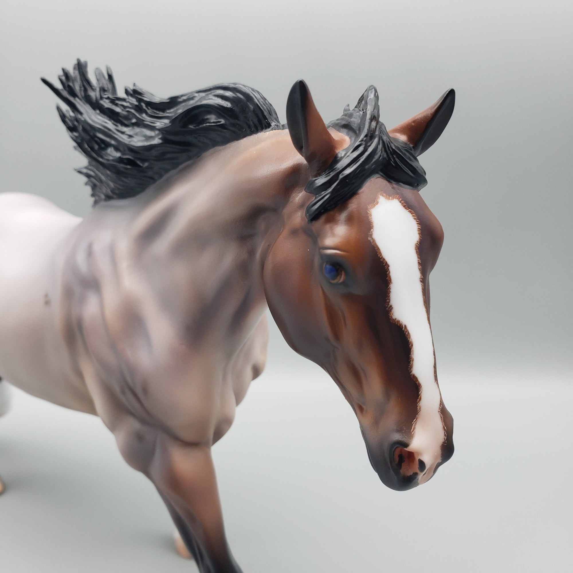 Cardon OOAK Bay Roan Running Stock Horse with Corn Spots By Caroline Boydston Best Offers 7/24/23