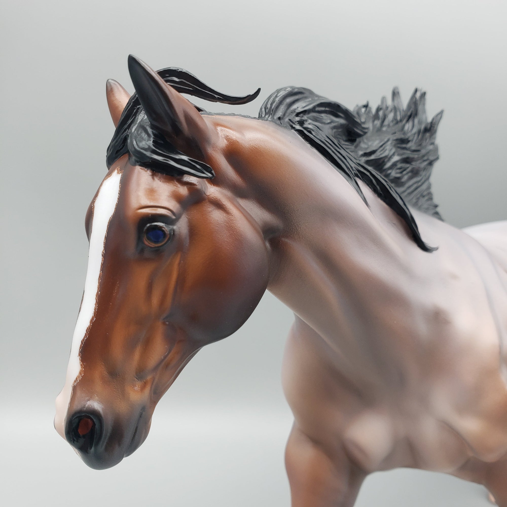 Cardon OOAK Bay Roan Running Stock Horse with Corn Spots By Caroline Boydston Best Offers 7/24/23