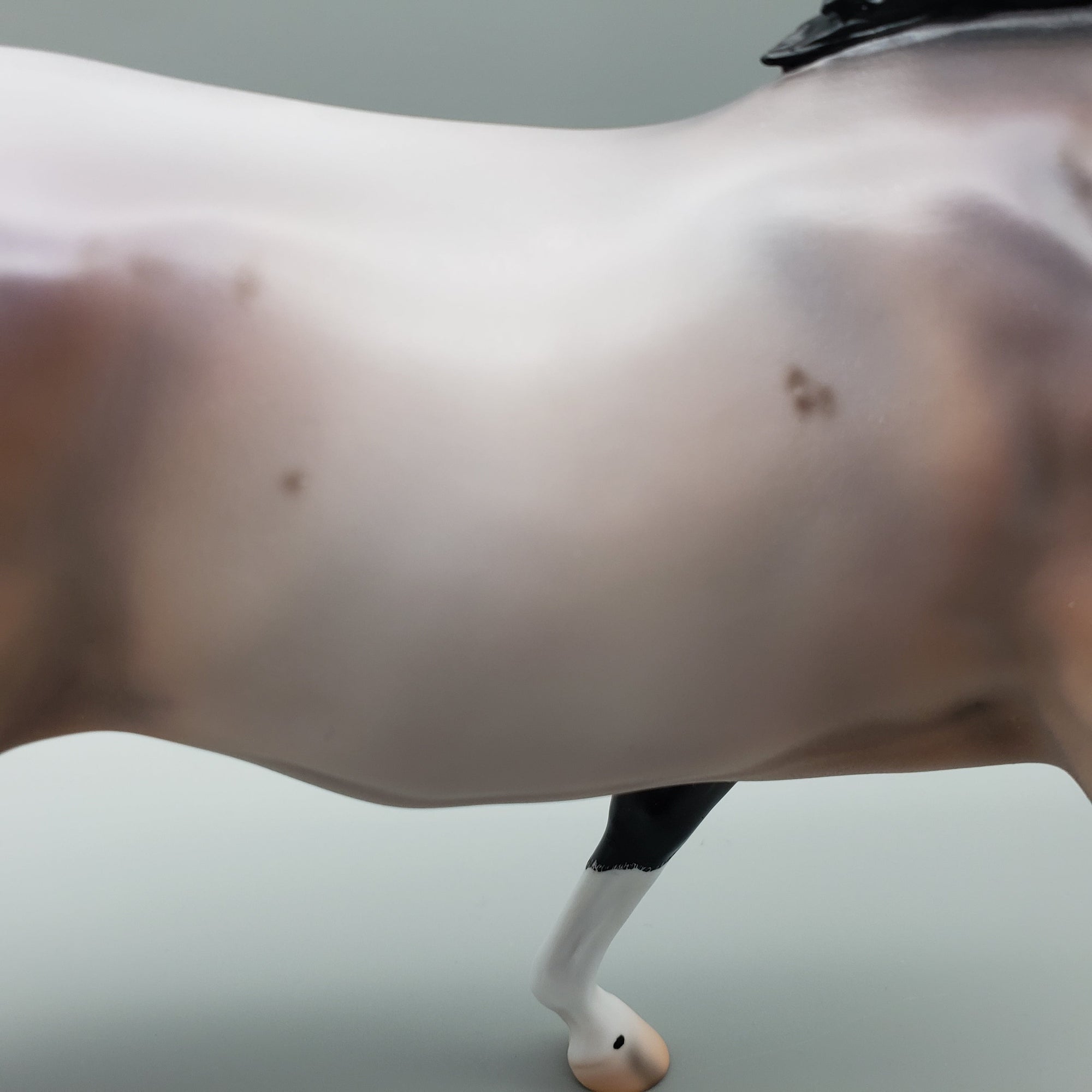 Cardon OOAK Bay Roan Running Stock Horse with Corn Spots By Caroline Boydston Best Offers 7/24/23