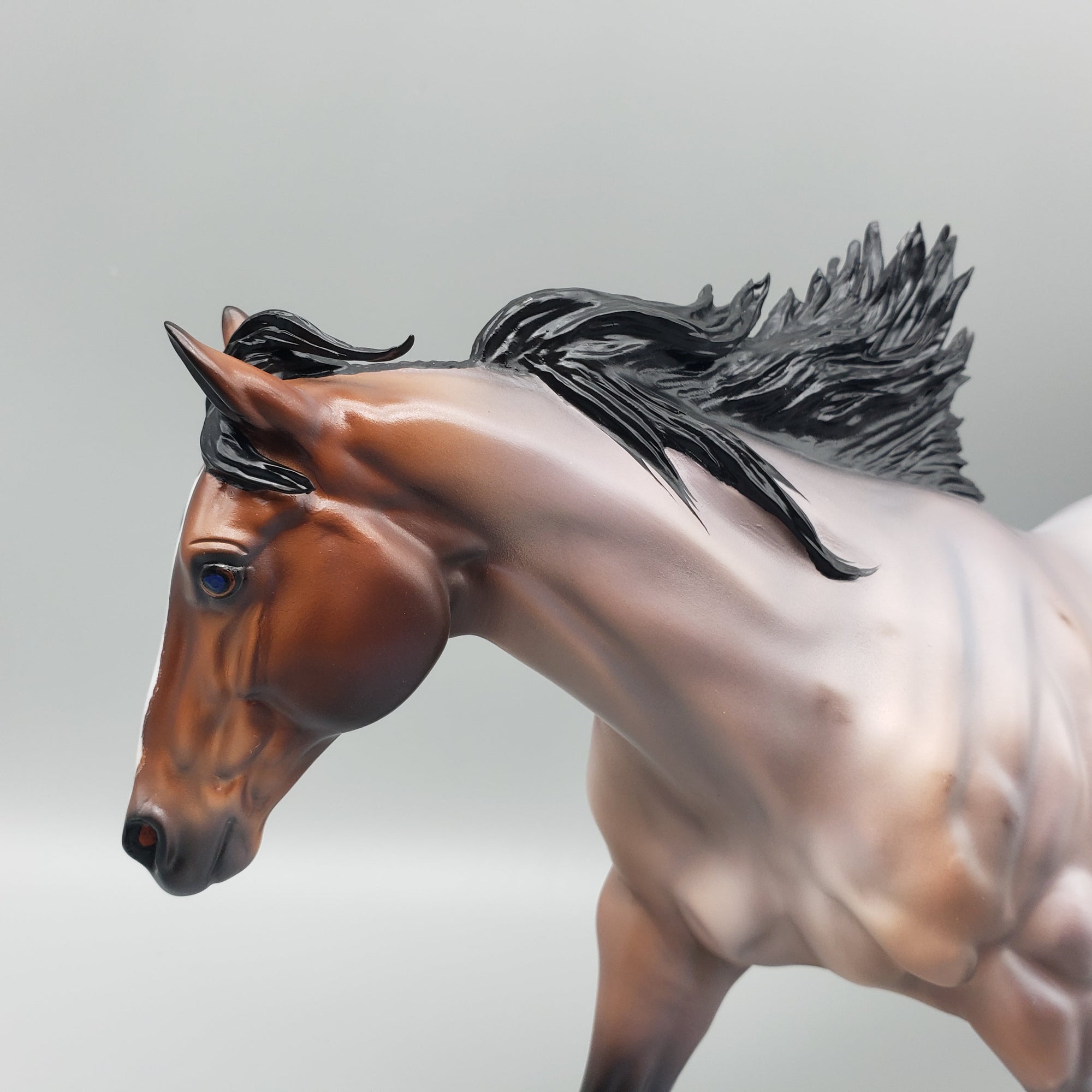 Cardon OOAK Bay Roan Running Stock Horse with Corn Spots By Caroline Boydston Best Offers 7/24/23