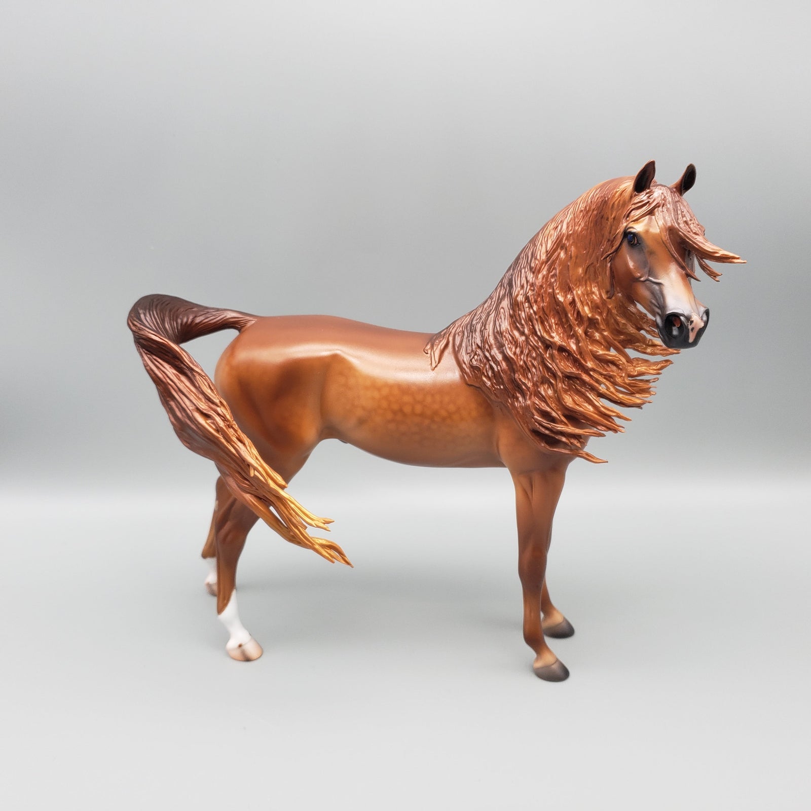 Pindo - Dappled Chestnut Arabian Stallion By Caroline Boydston Best Offers 7/24/23