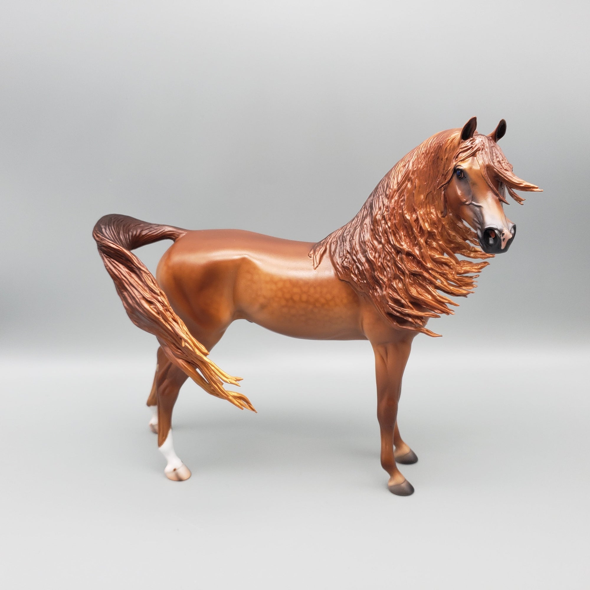 Pindo - Dappled Chestnut Arabian Stallion By Caroline Boydston Best Offers 7/24/23