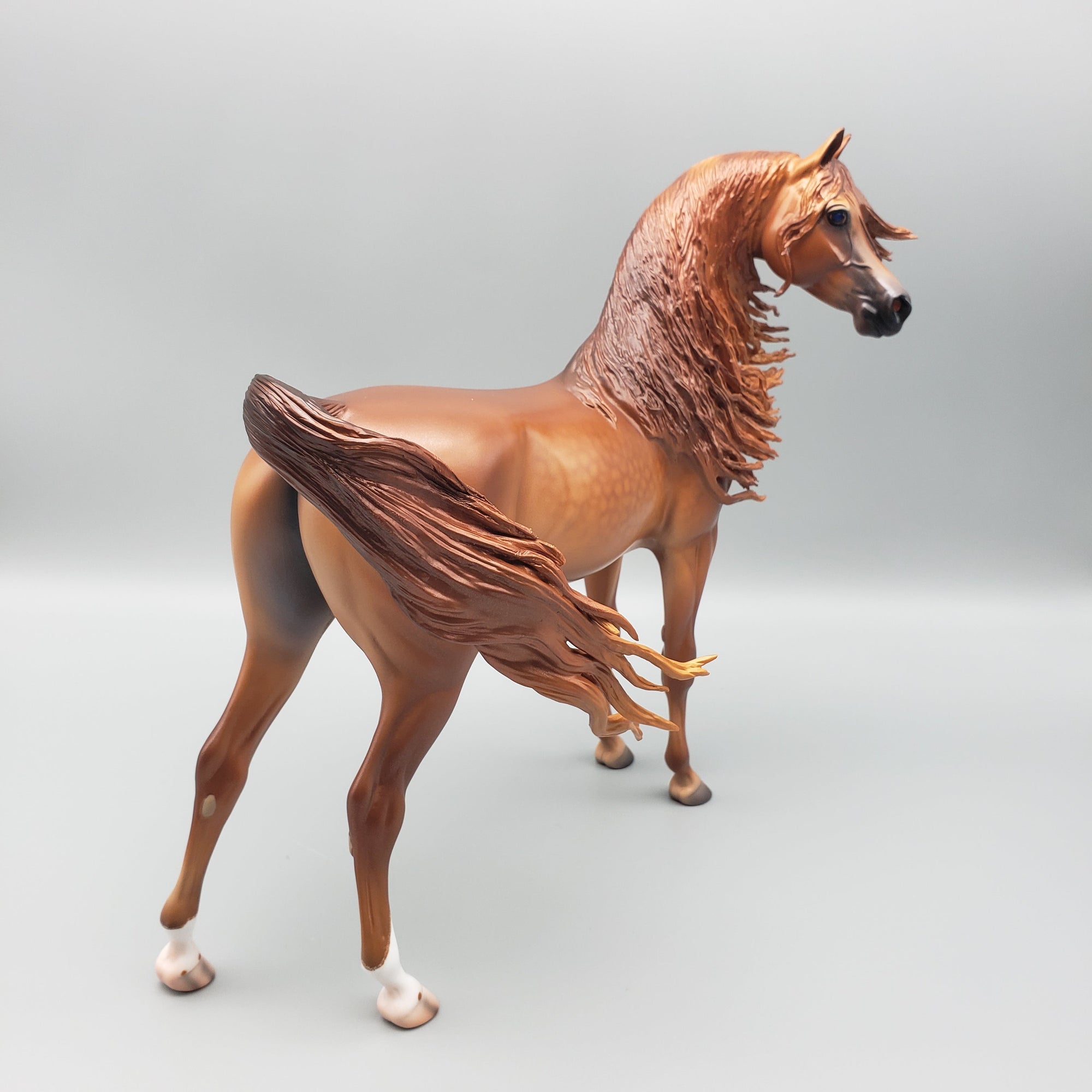 Pindo - Dappled Chestnut Arabian Stallion By Caroline Boydston Best Offers 7/24/23