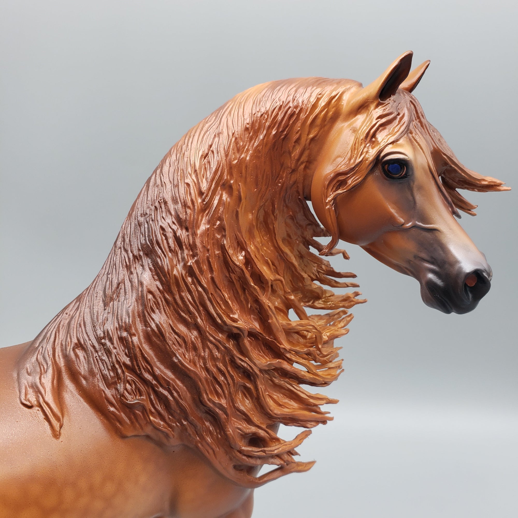 Pindo - Dappled Chestnut Arabian Stallion By Caroline Boydston Best Offers 7/24/23
