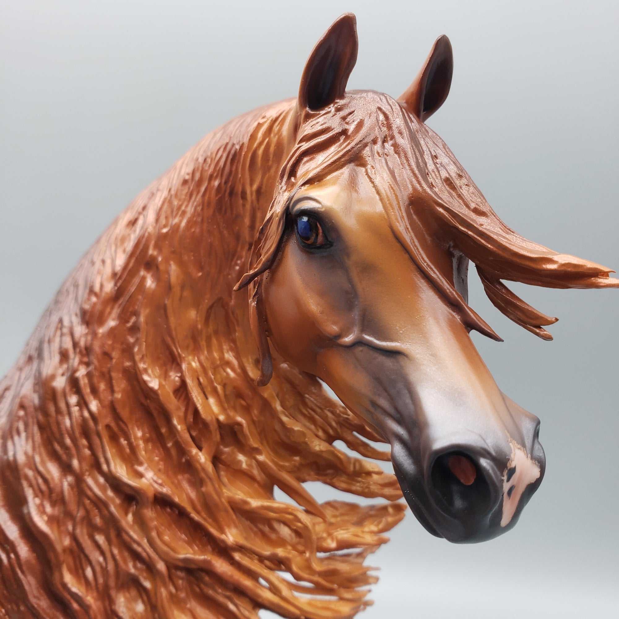 Pindo - Dappled Chestnut Arabian Stallion By Caroline Boydston Best Offers 7/24/23