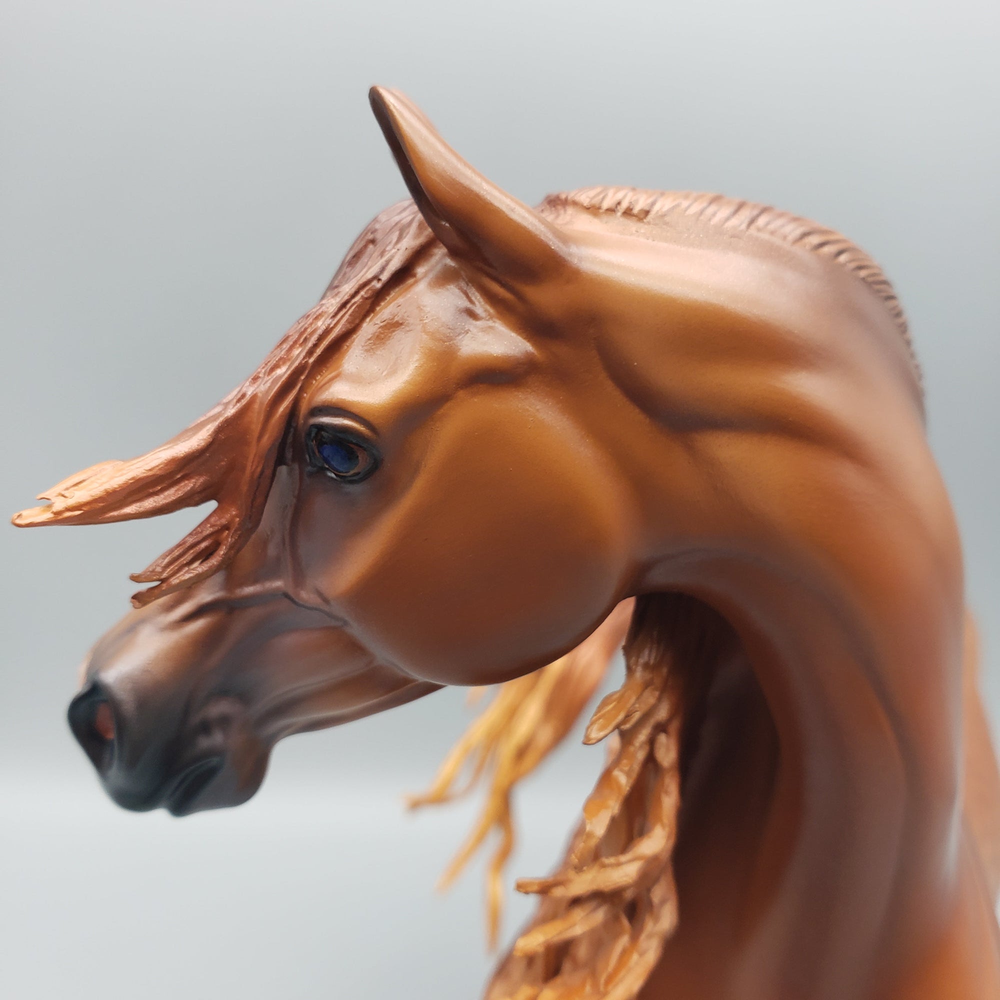 Pindo - Dappled Chestnut Arabian Stallion By Caroline Boydston Best Offers 7/24/23