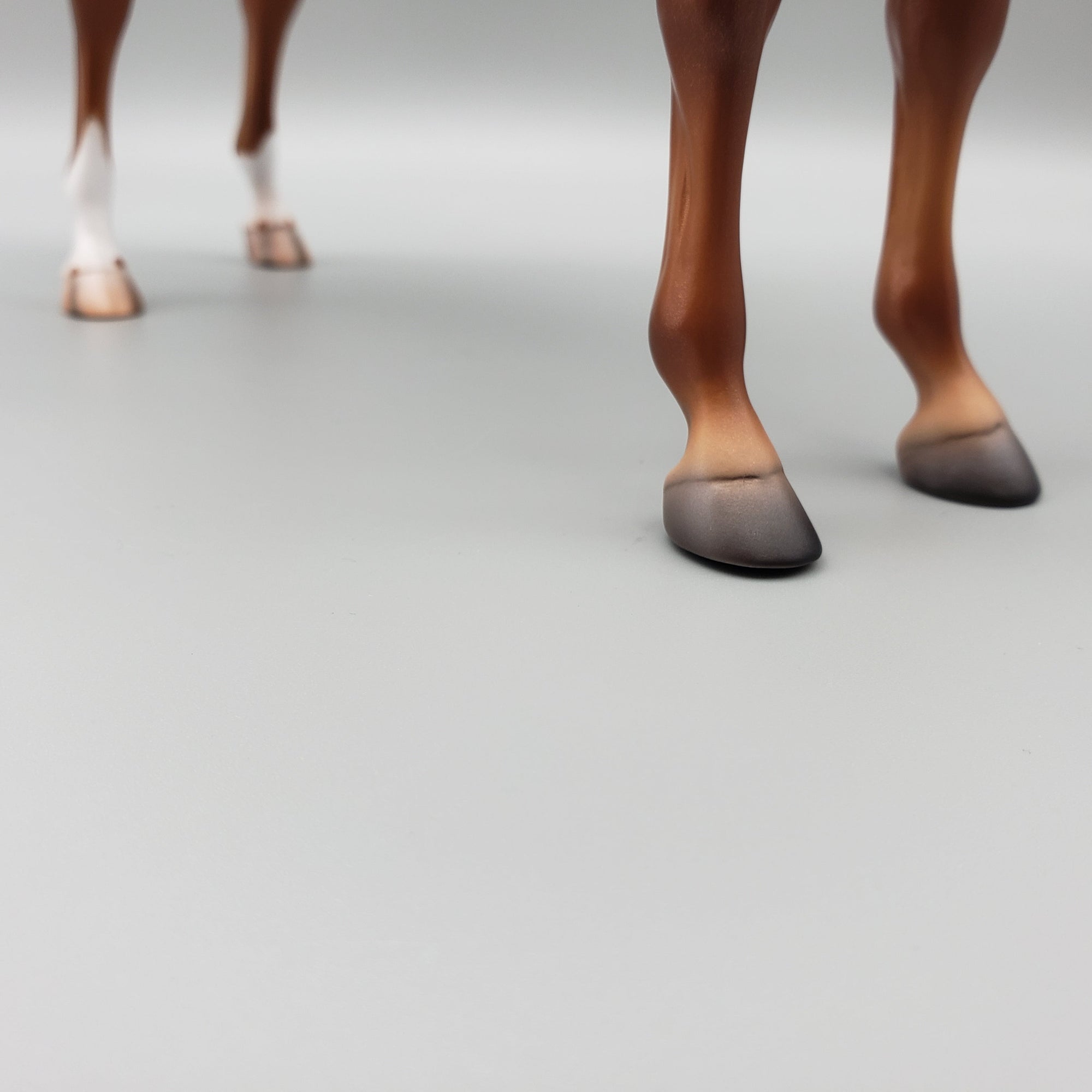 Pindo - Dappled Chestnut Arabian Stallion By Caroline Boydston Best Offers 7/24/23