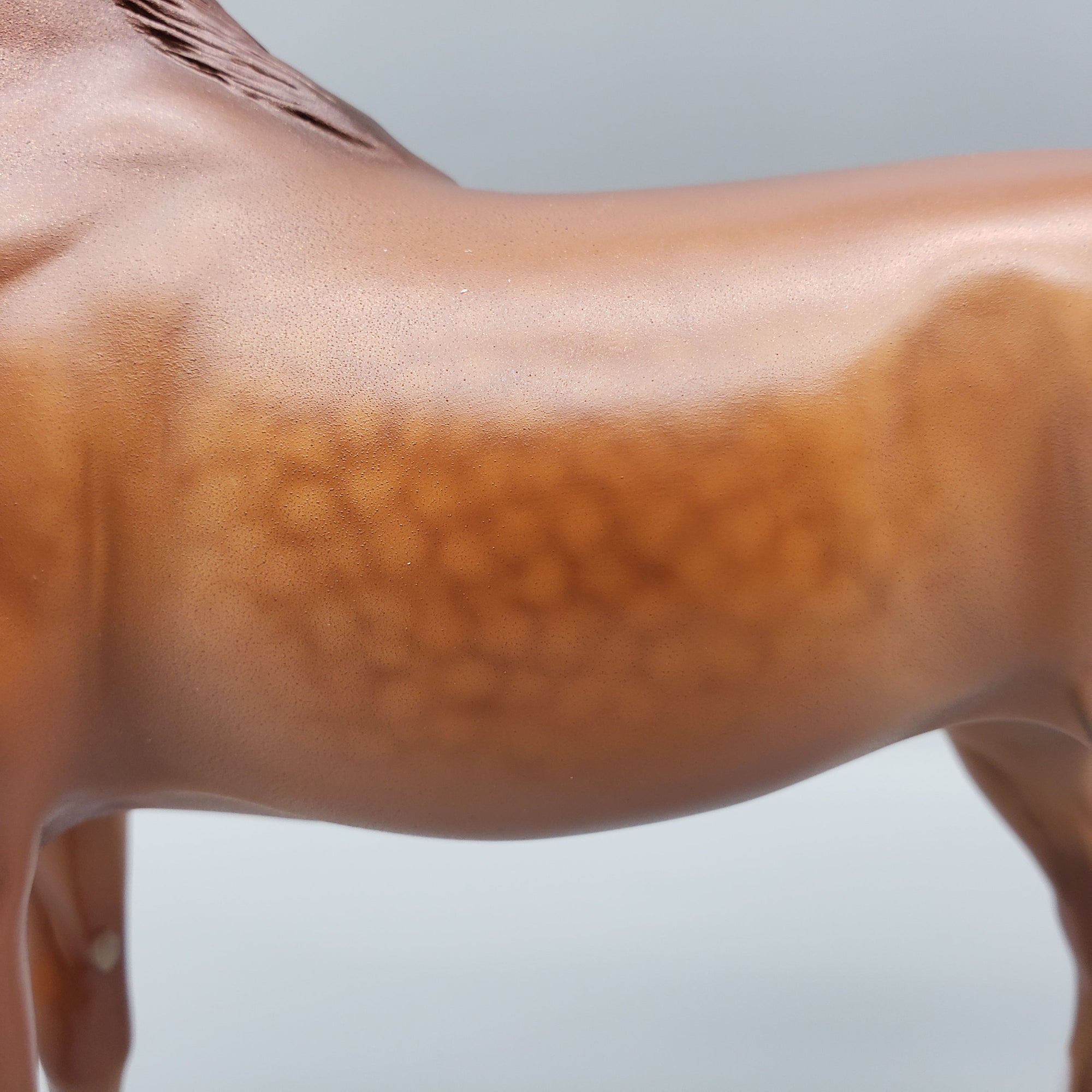 Pindo - Dappled Chestnut Arabian Stallion By Caroline Boydston Best Offers 7/24/23