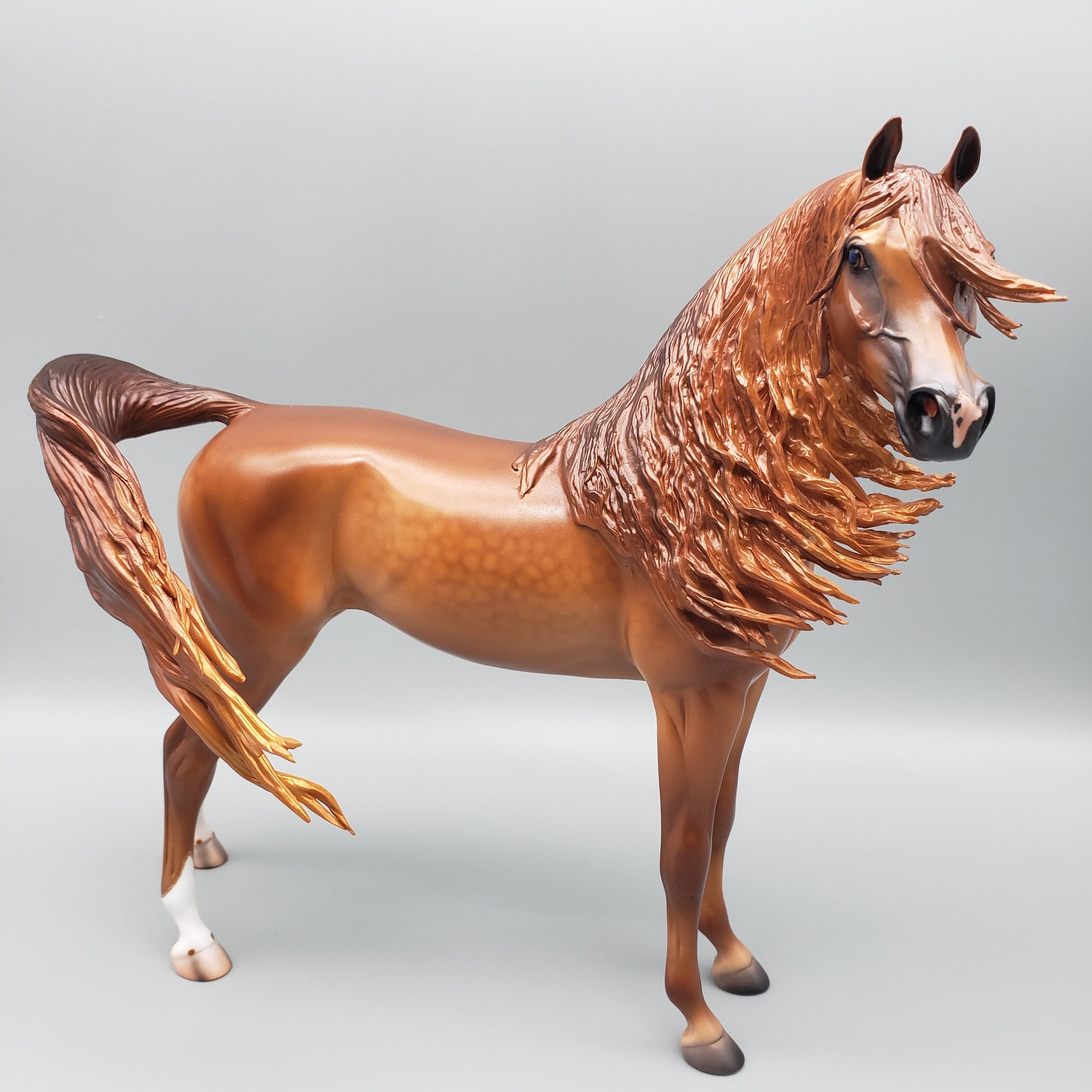 Pindo - Dappled Chestnut Arabian Stallion By Caroline Boydston Best Offers 7/24/23