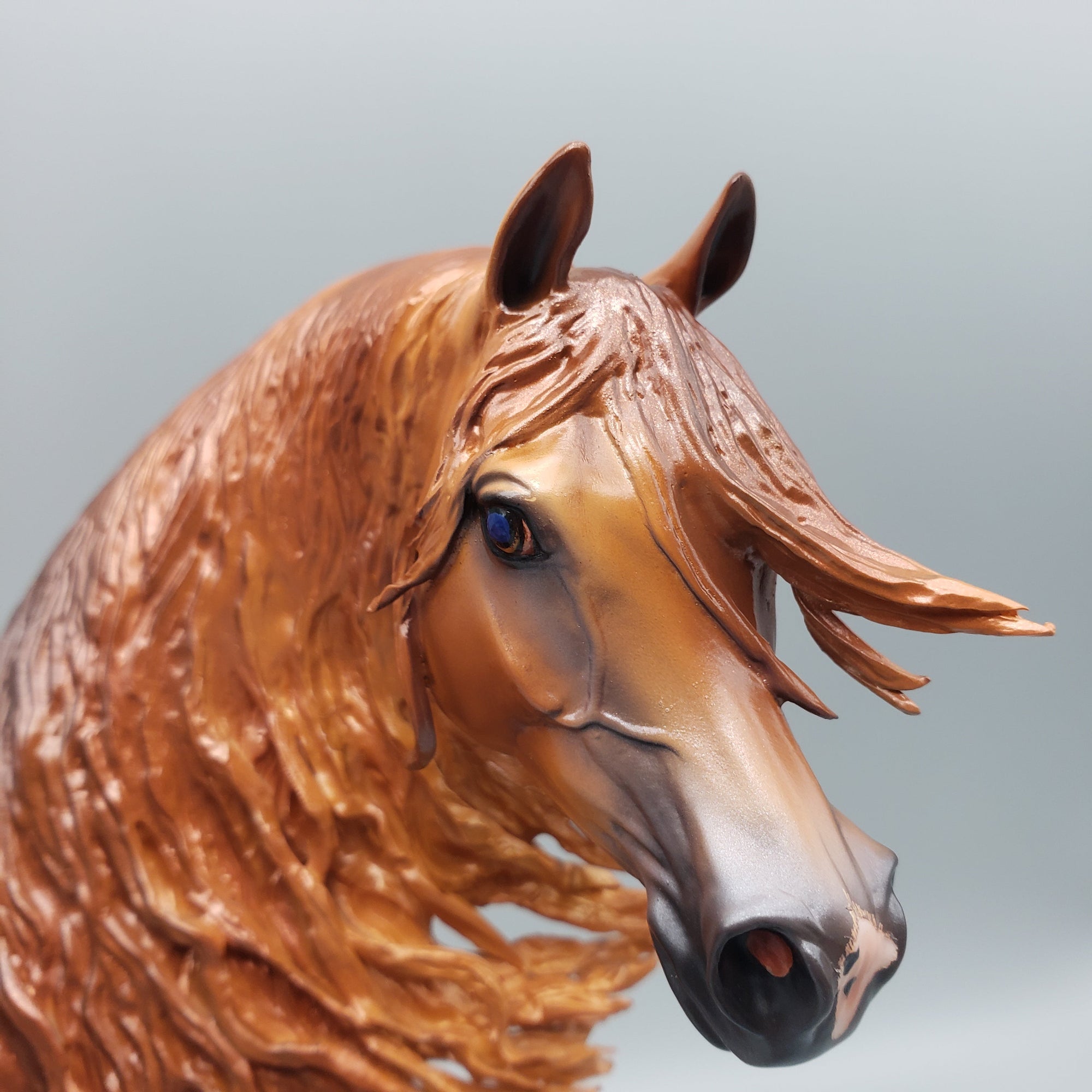 Pindo - Dappled Chestnut Arabian Stallion By Caroline Boydston Best Offers 7/24/23
