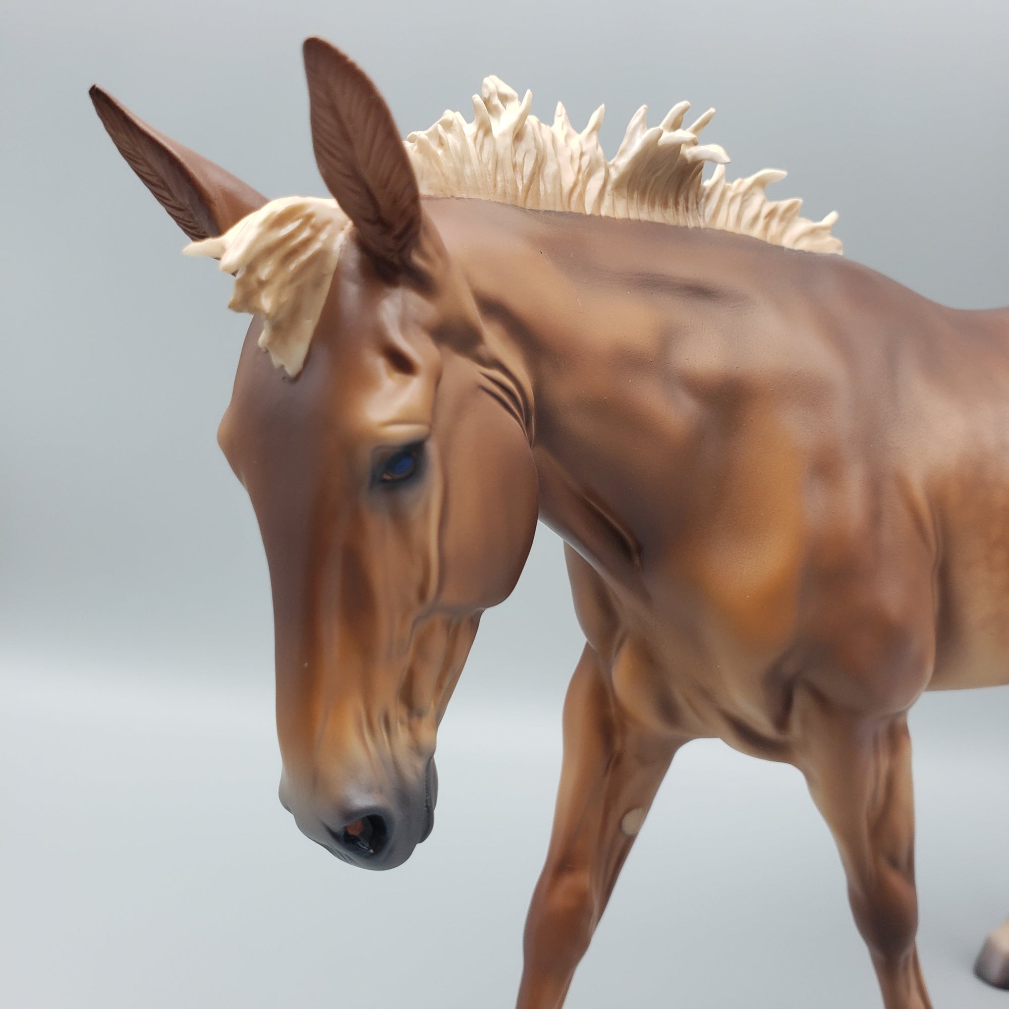 Sahara OOAK Silver Dapple Bay Mule By Caroline Boydston Best Offers 7/24/23