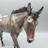 Fearne OOAK Dun Appaloosa Mule By Jess Hamill Best Offers 7/24/23