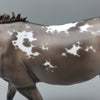 Fearne OOAK Dun Appaloosa Mule By Jess Hamill Best Offers 7/24/23