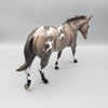 Fearne OOAK Dun Appaloosa Mule By Jess Hamill Best Offers 7/24/23