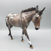 Fearne OOAK Dun Appaloosa Mule By Jess Hamill Best Offers 7/24/23