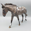 Fearne OOAK Dun Appaloosa Mule By Jess Hamill Best Offers 7/24/23