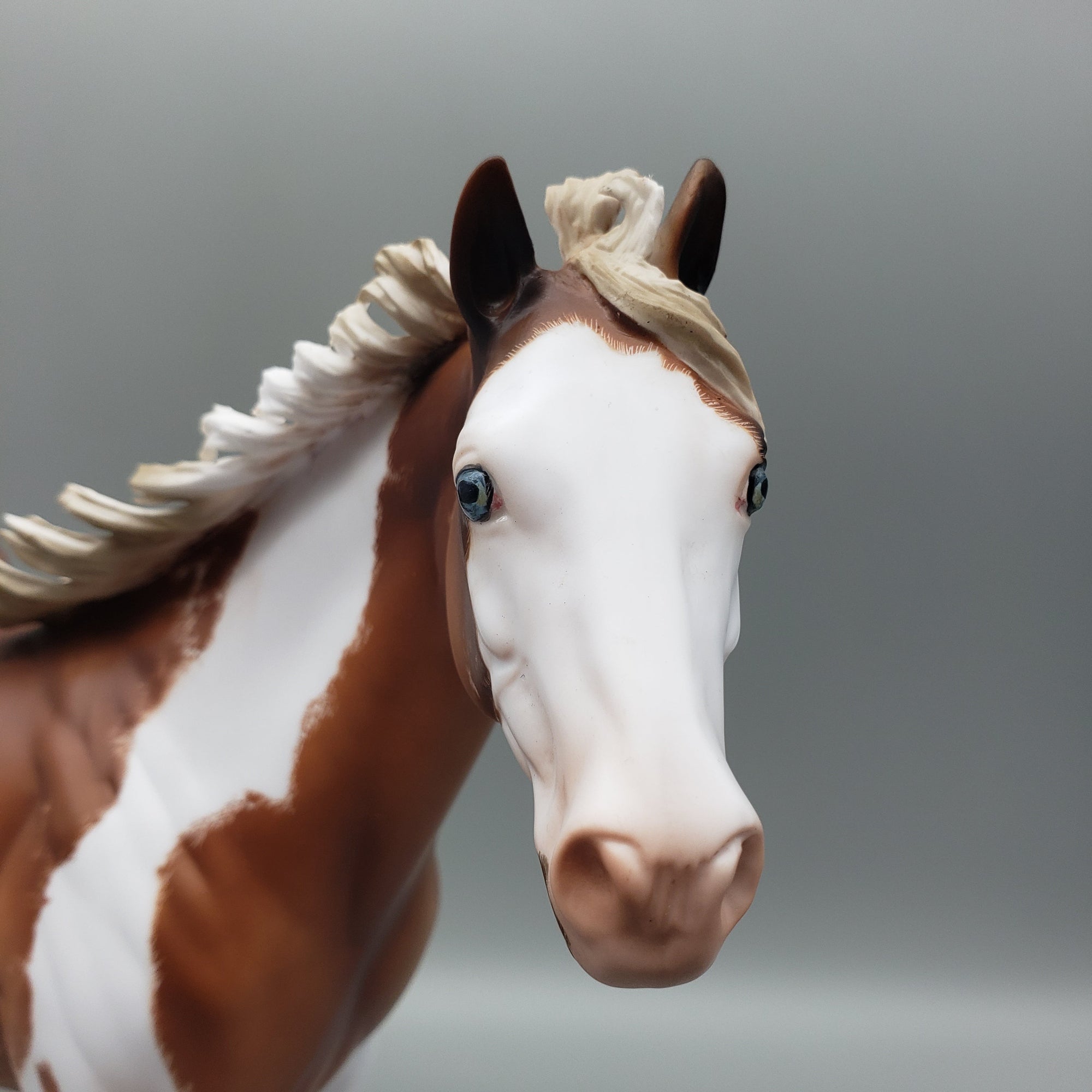 Carolina Lily OOAK Sorrel Tobiano Ideal Stock Horse By Julie Keim Best Offers 7/24/23