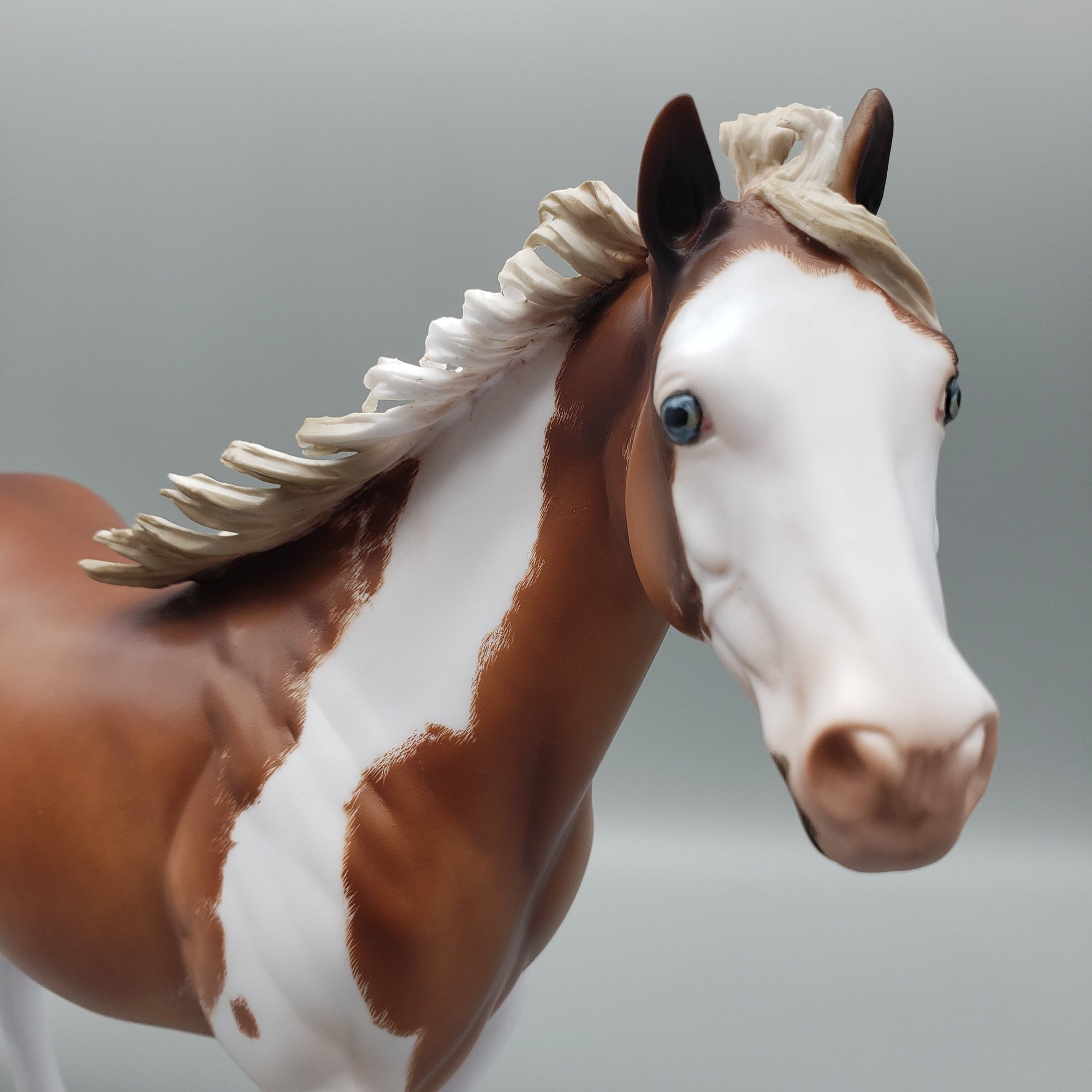 Carolina Lily OOAK Sorrel Tobiano Ideal Stock Horse By Julie Keim Best Offers 7/24/23