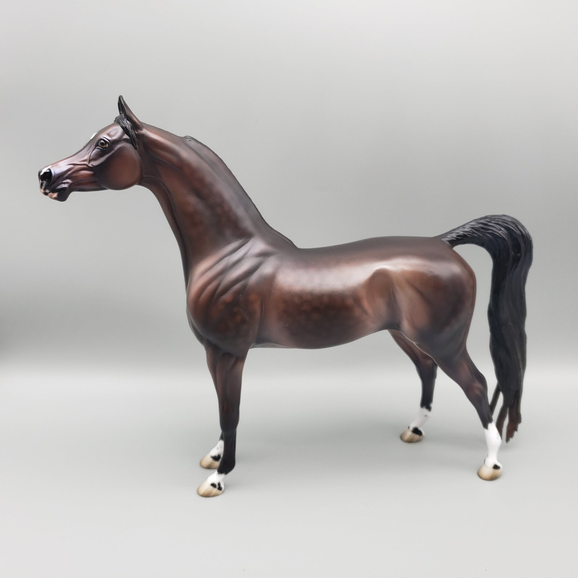 Tova OOAK Dapple Bay Arabian Stallion Turned Arab Mare with Straight Head By Jess Hamill Best Offers 7/24/23