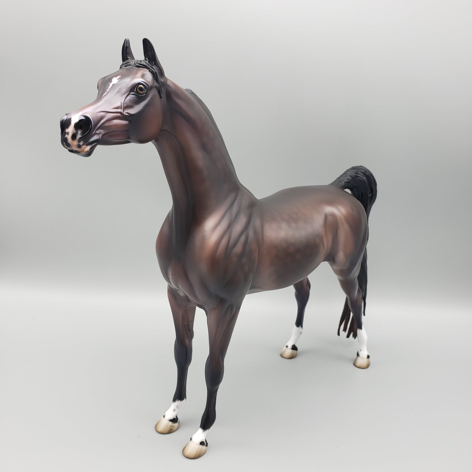 Tova OOAK Dapple Bay Arabian Stallion Turned Arab Mare with Straight Head By Jess Hamill Best Offers 7/24/23