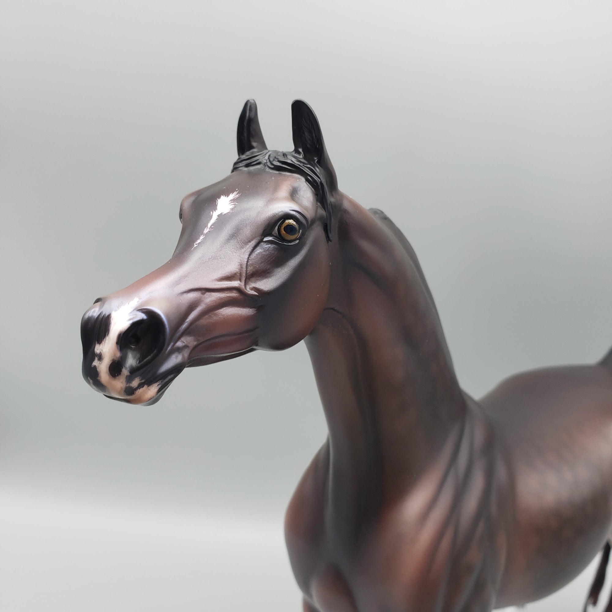 Tova OOAK Dapple Bay Arabian Stallion Turned Arab Mare with Straight Head By Jess Hamill Best Offers 7/24/23