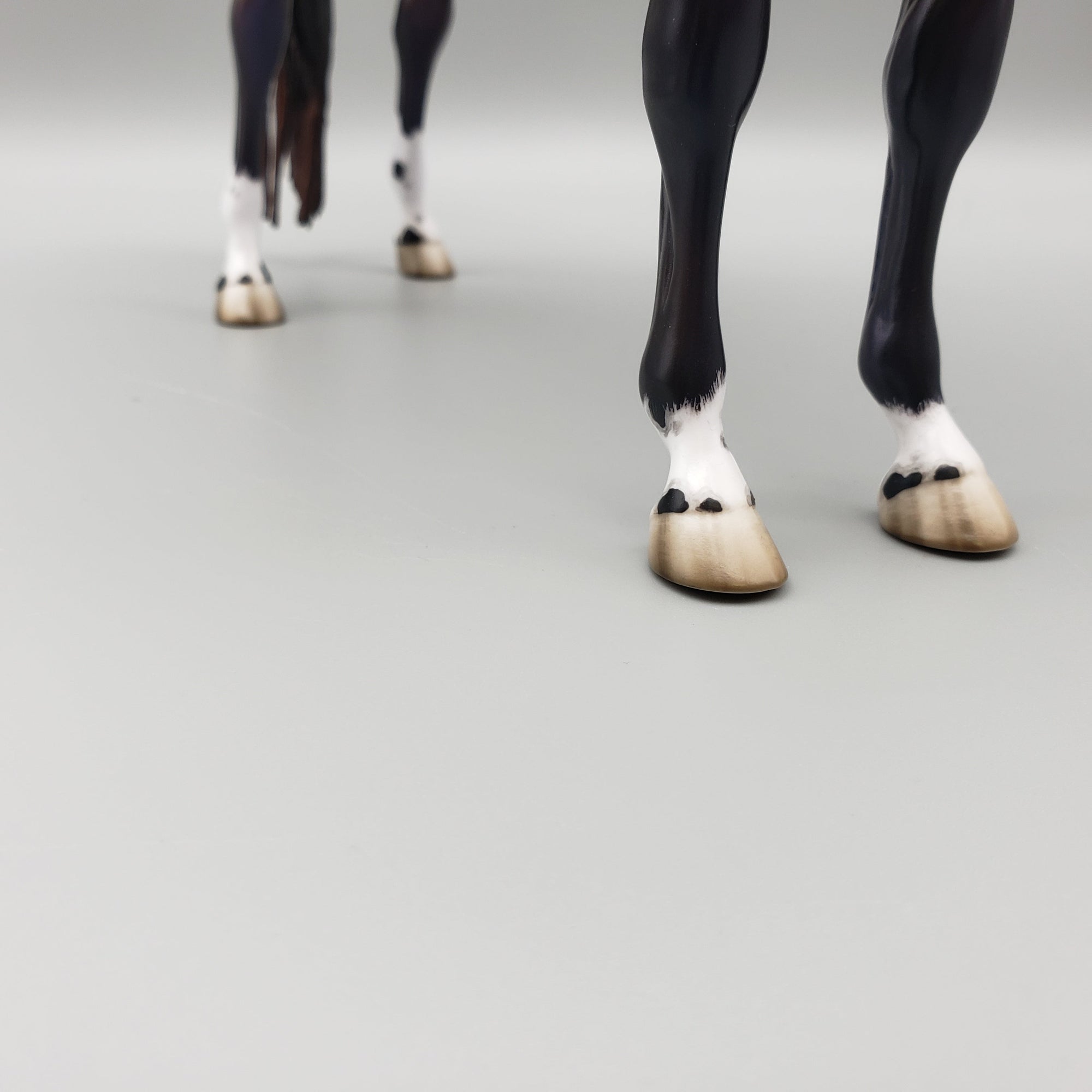 Tova OOAK Dapple Bay Arabian Stallion Turned Arab Mare with Straight Head By Jess Hamill Best Offers 7/24/23