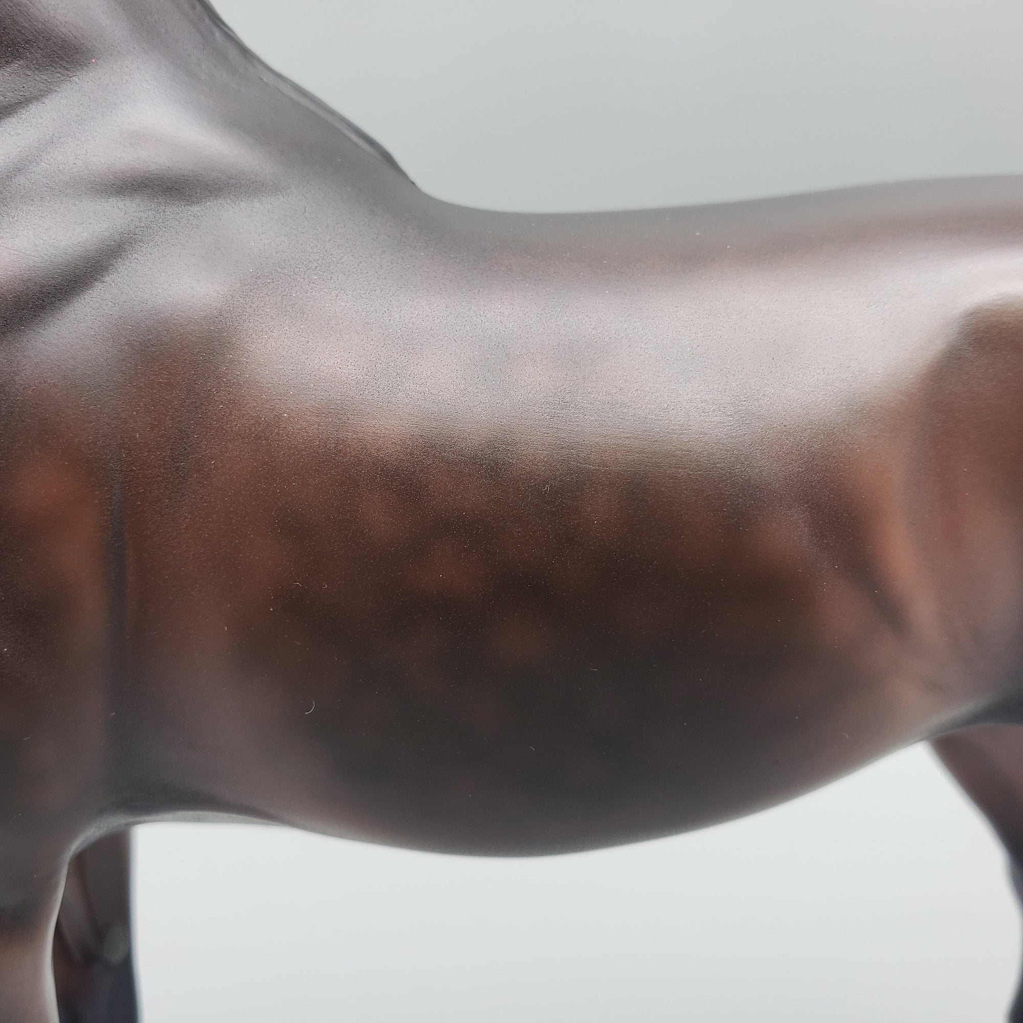 Tova OOAK Dapple Bay Arabian Stallion Turned Arab Mare with Straight Head By Jess Hamill Best Offers 7/24/23