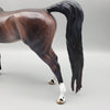 Tova OOAK Dapple Bay Arabian Stallion Turned Arab Mare with Straight Head By Jess Hamill Best Offers 7/24/23