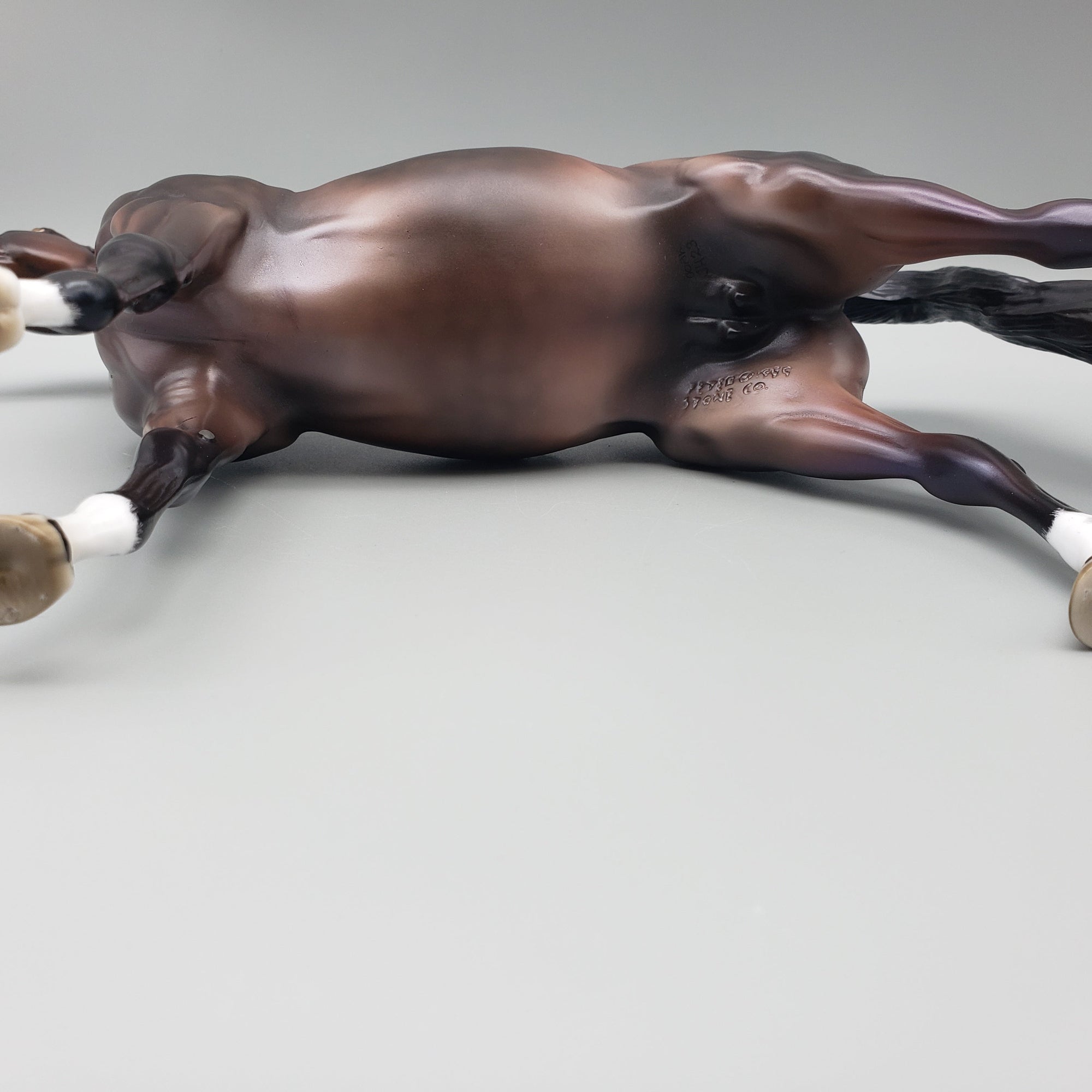 Tova OOAK Dapple Bay Arabian Stallion Turned Arab Mare with Straight Head By Jess Hamill Best Offers 7/24/23