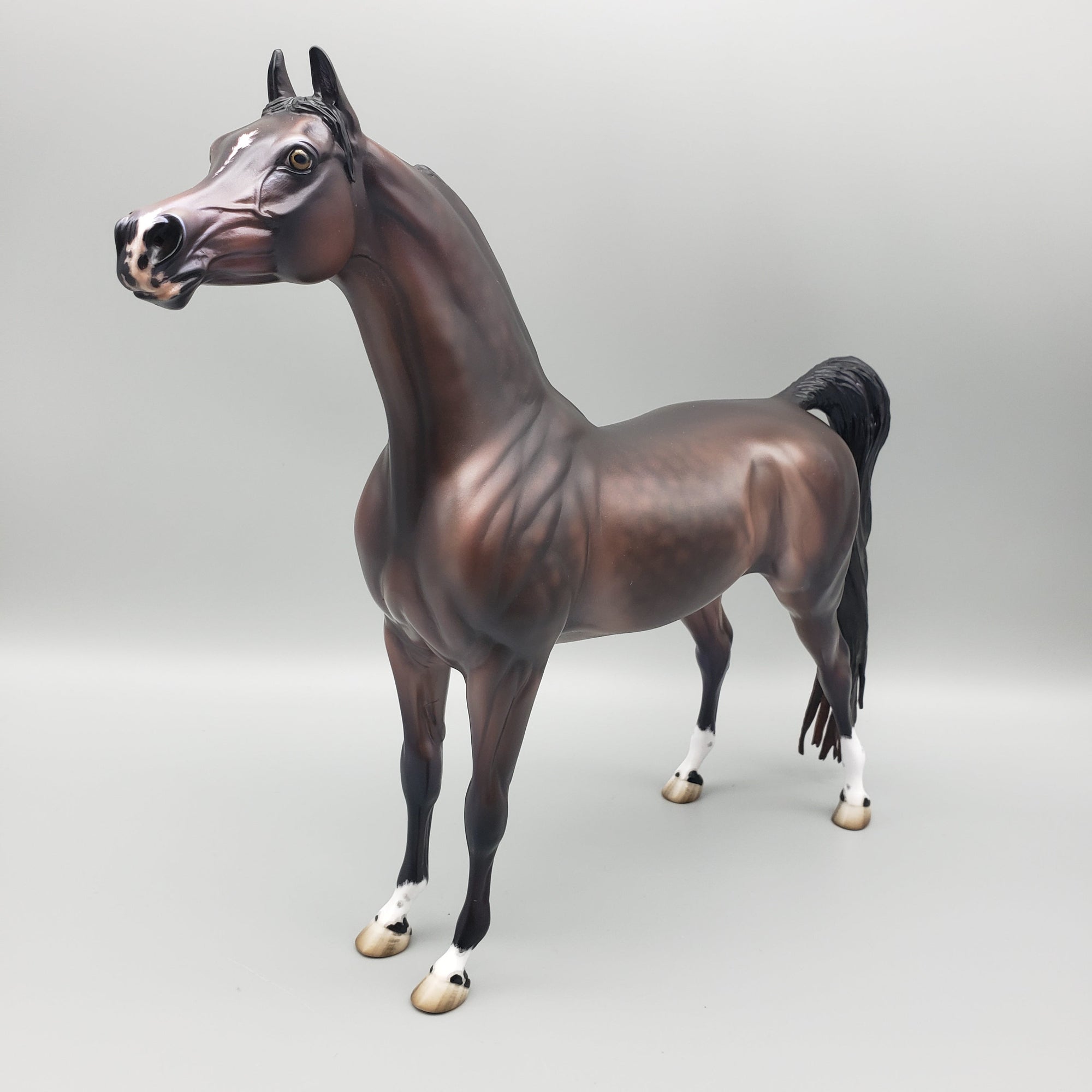 Tova OOAK Dapple Bay Arabian Stallion Turned Arab Mare with Straight Head By Jess Hamill Best Offers 7/24/23